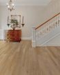 COREtec Plus 5"x48" Antique Oak Luxury Vinyl