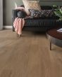 COREtec Pro Plus XL Enhanced San Marino Elm Luxury Vinyl