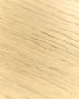 TecWood Select Islandair Sand Dollar Oak 6.5" Hardwood