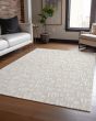 Wonderland WN22 Beige Area Rug