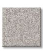 Positively Radiant III Textured 68oz Carpet