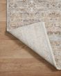 Zuma ZUM-05 Silver/Multi Area Rug