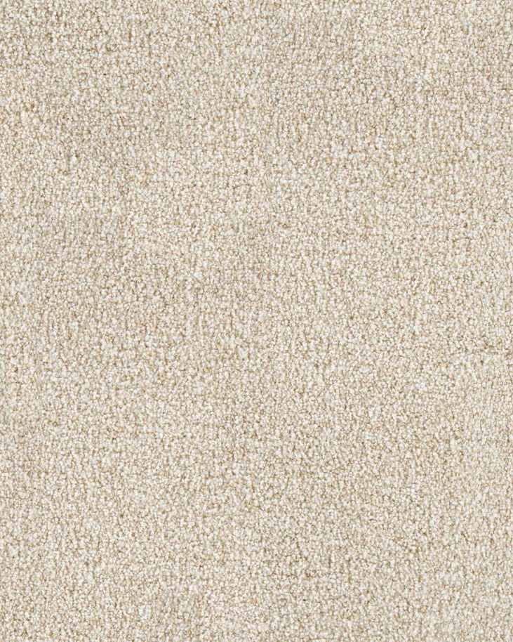 Mohawk 3G10 Delicate Details - UltraStrand| Carpet Exchange