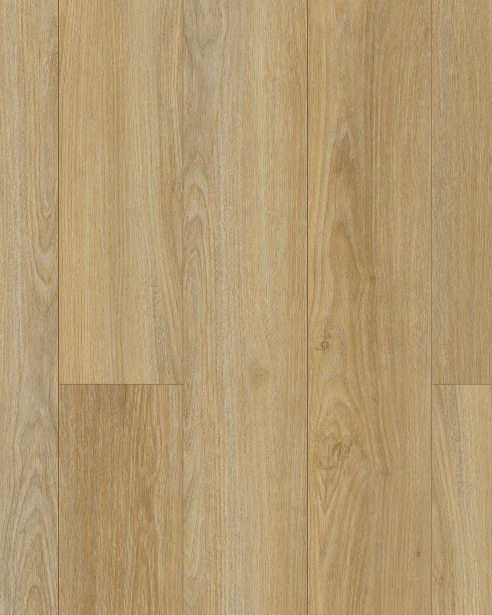 discoveryridge-coffeehousetan.jpg
