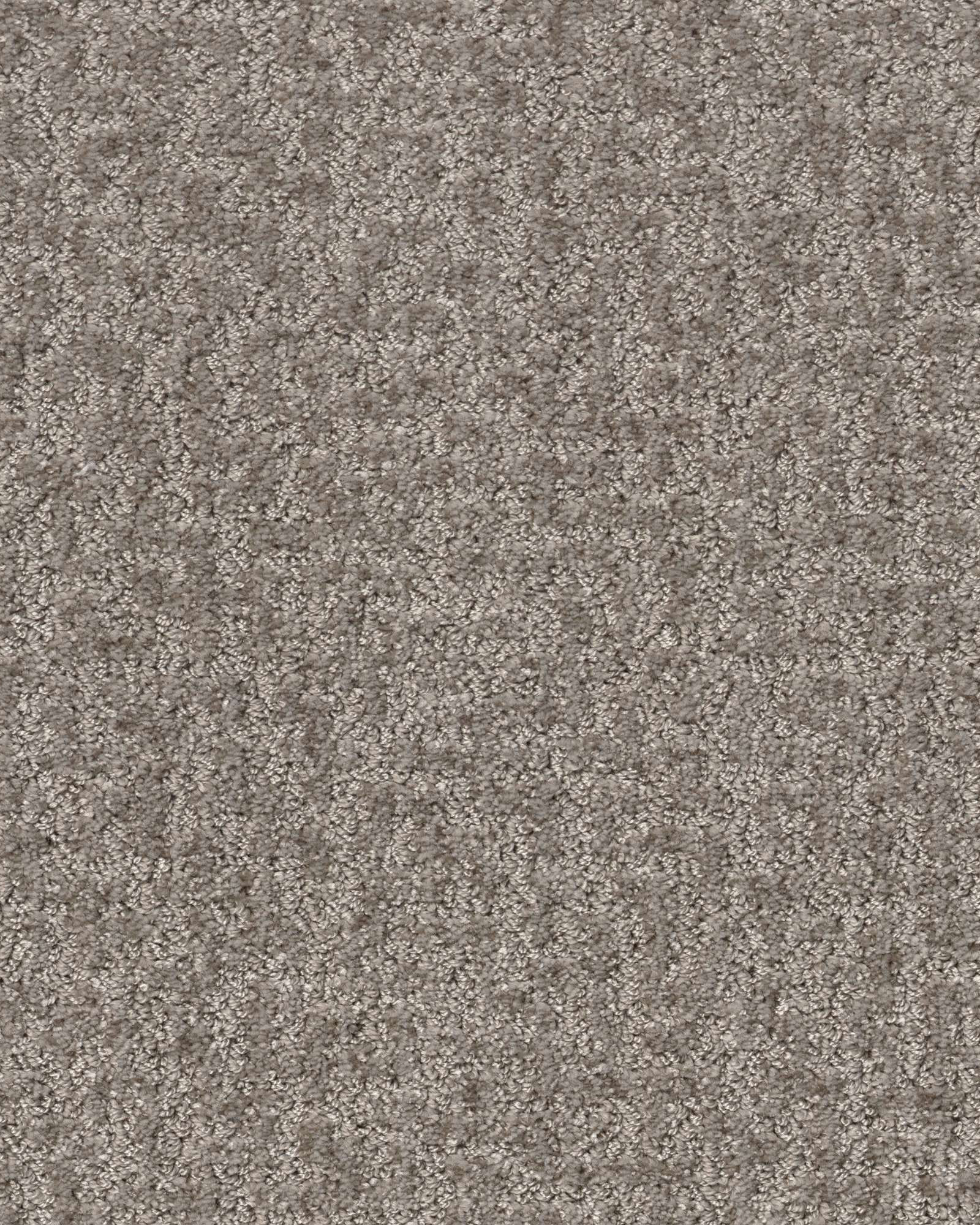 Shaw E9970 Emergence Flax Carpet Exchange