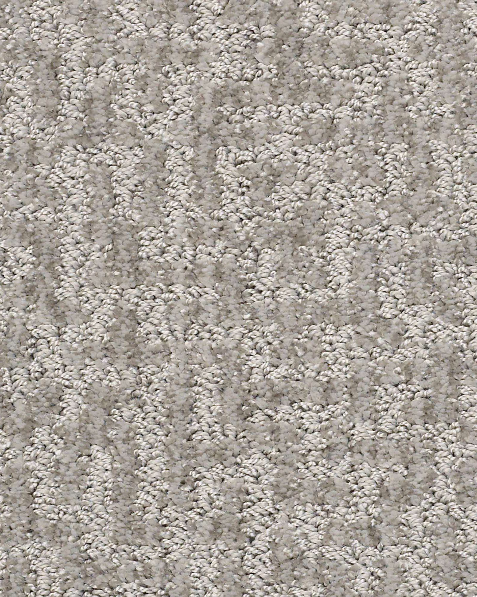 Shaw E9970 Emergence Platinum Carpet Exchange