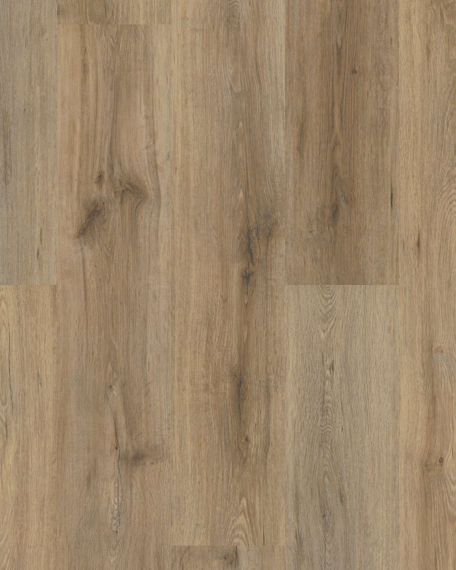 Shaw Endura Plus Wild Dunes - Luxury Vinyl | Carpet Exchange