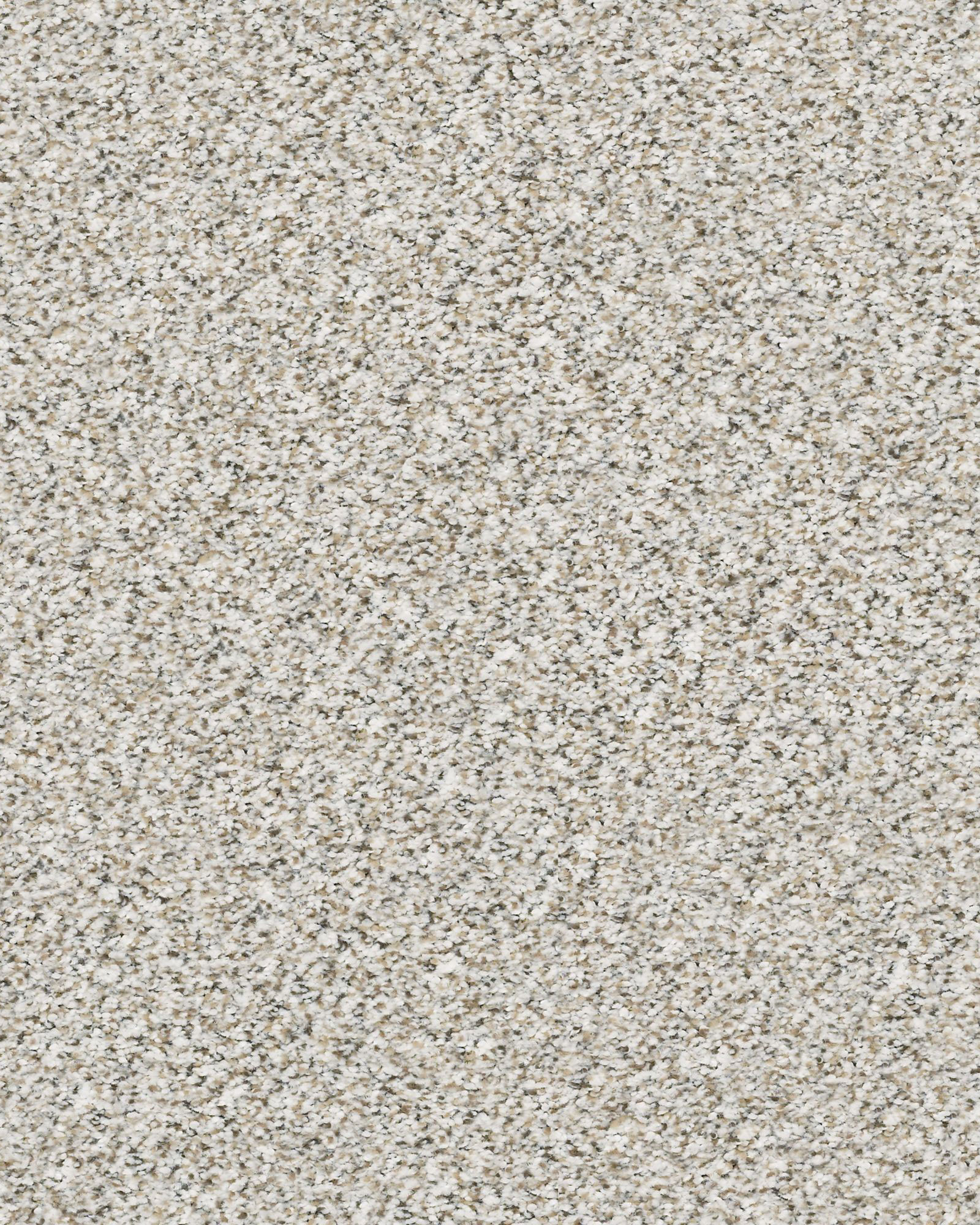 Shaw Estes Park Whitewash Carpet Exchange