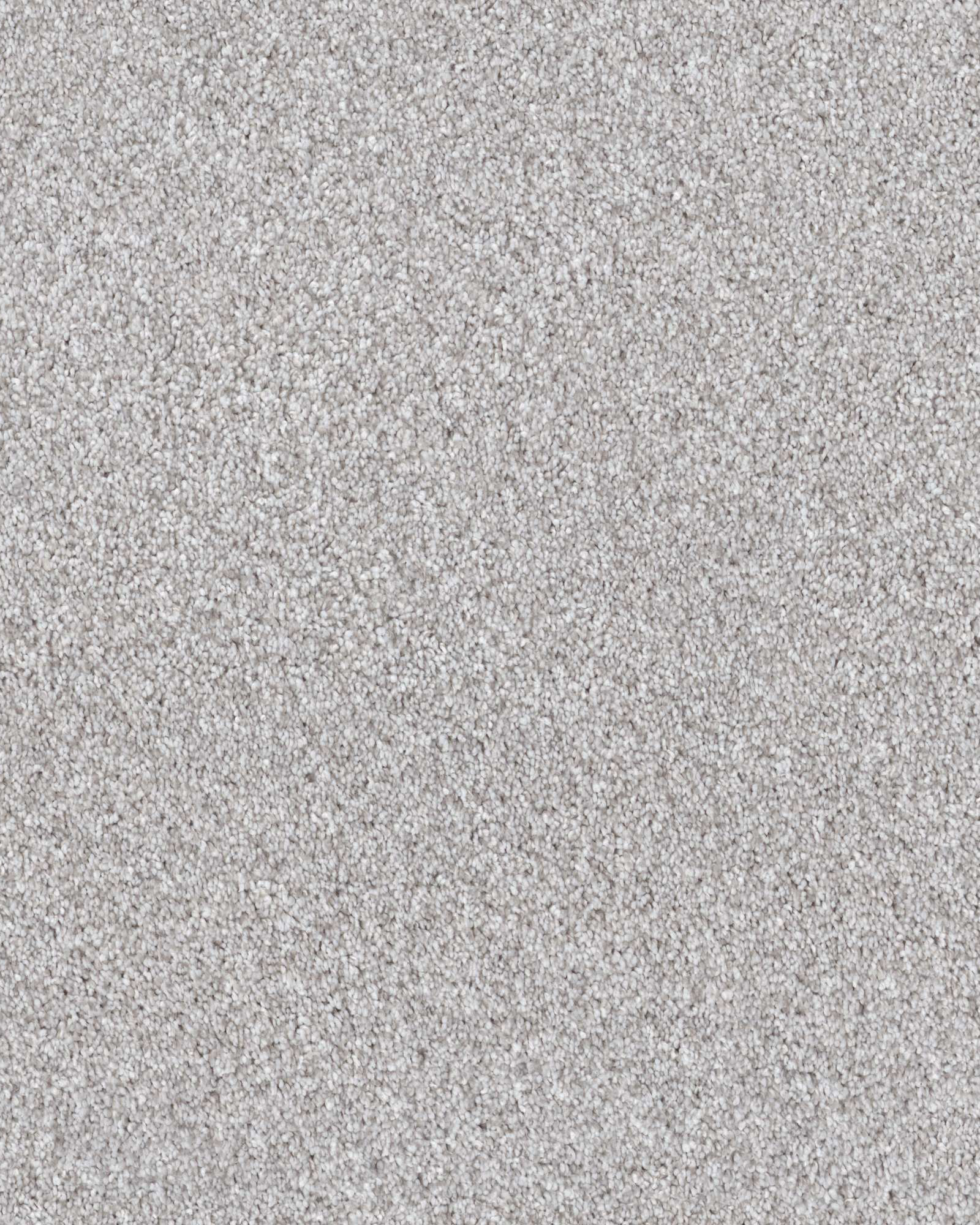 Shaw 5E443 Expertise Silver Lining Carpet Exchange