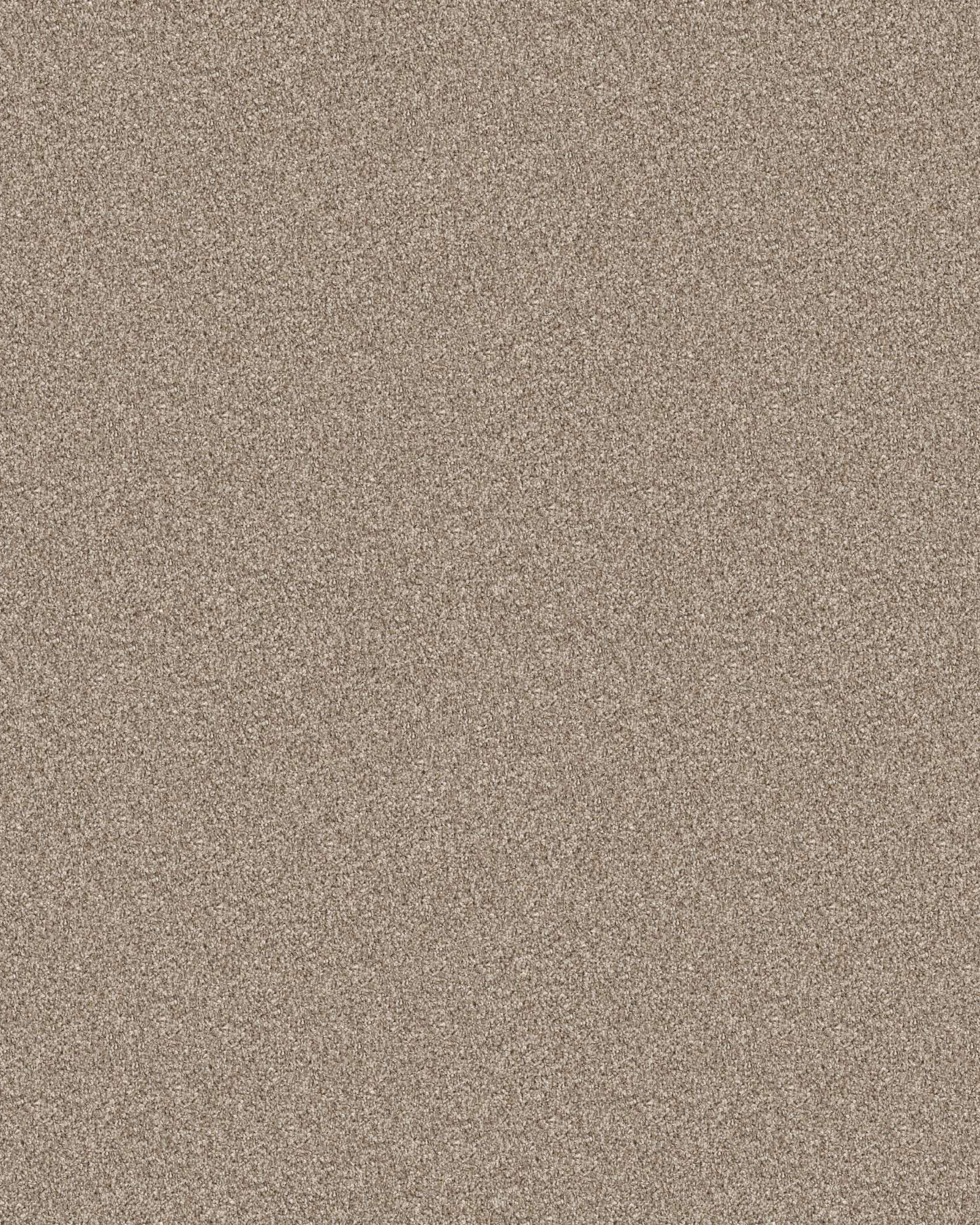 Shaw 5E443 Expertise Sunkissed | Carpet Exchange