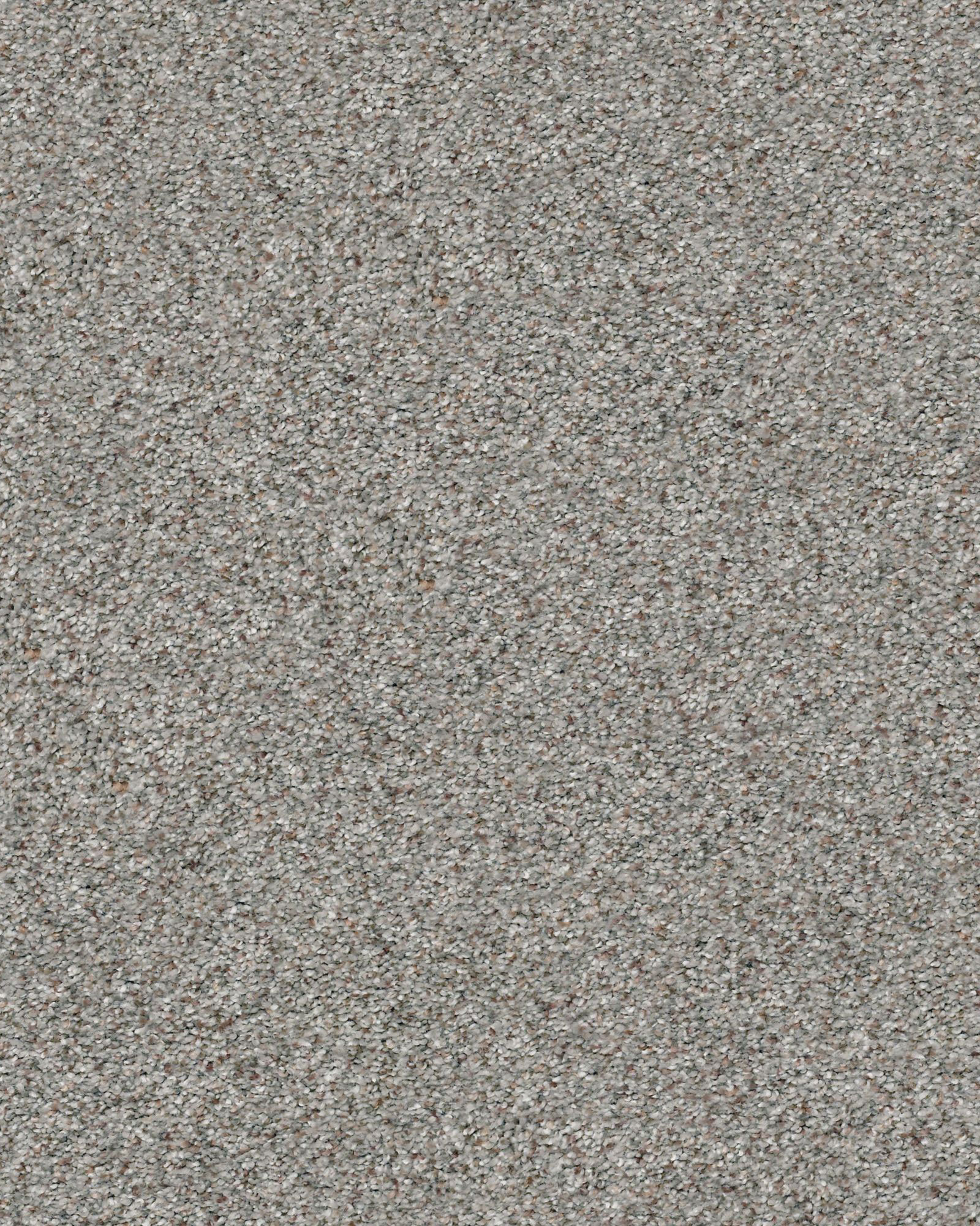 Shaw Find Your Comfort Accent II Carpet Exchange