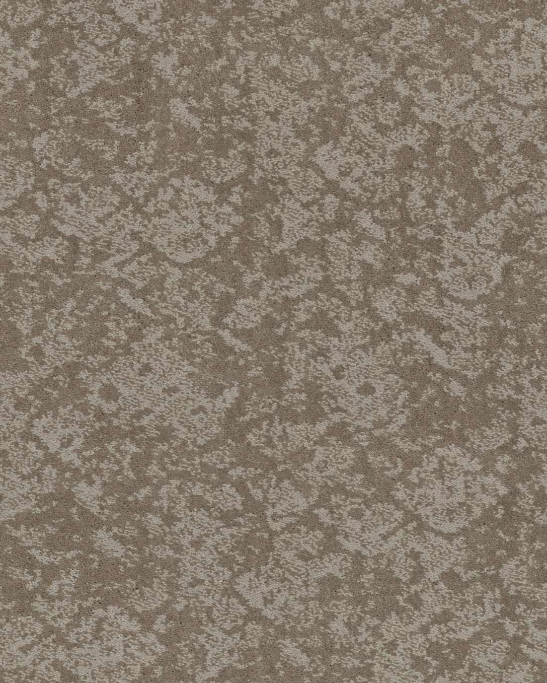 Shaw Caress Free Spirit Stucco Carpet Exchange