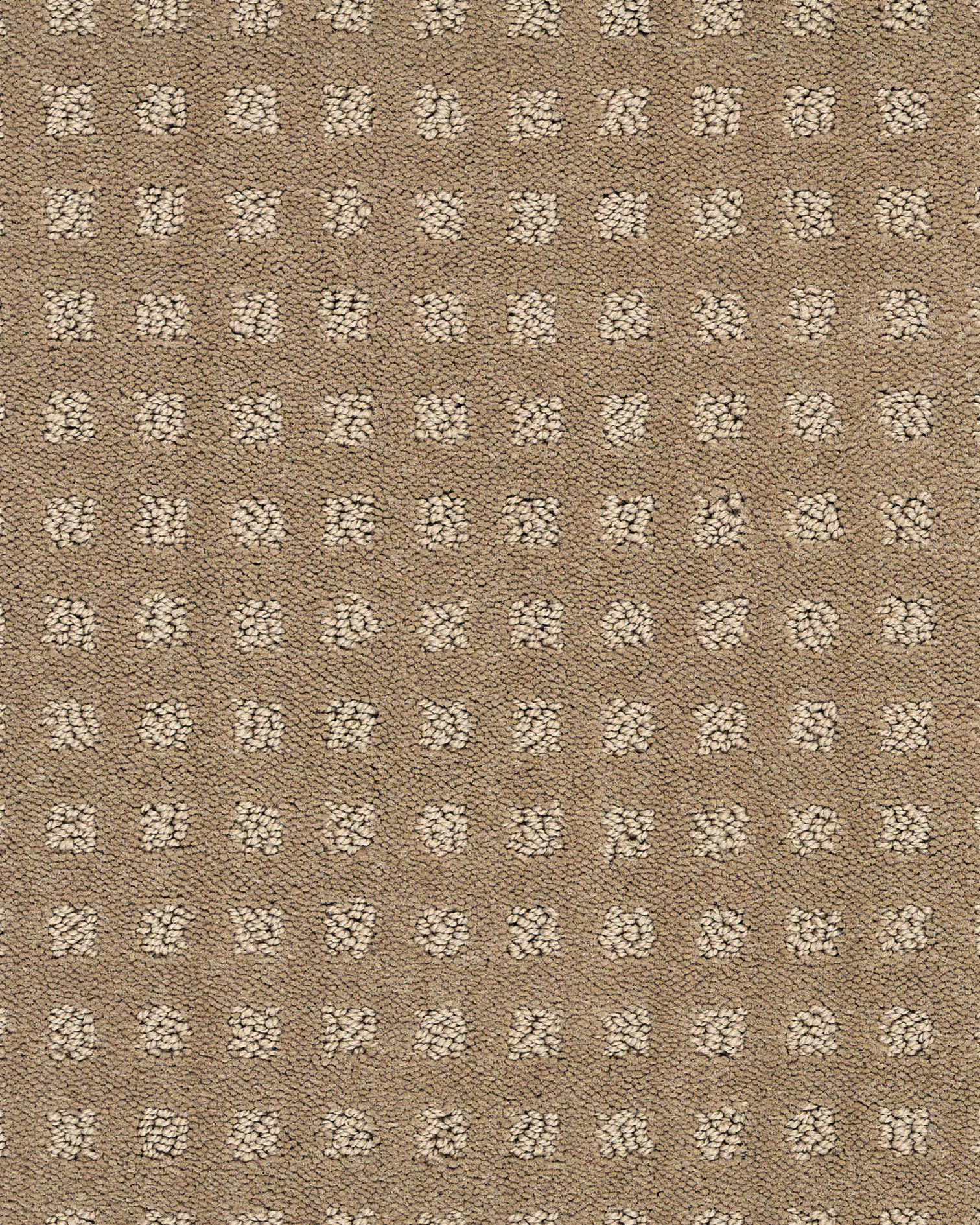 Shaw Fuji Grounded Carpet Exchange