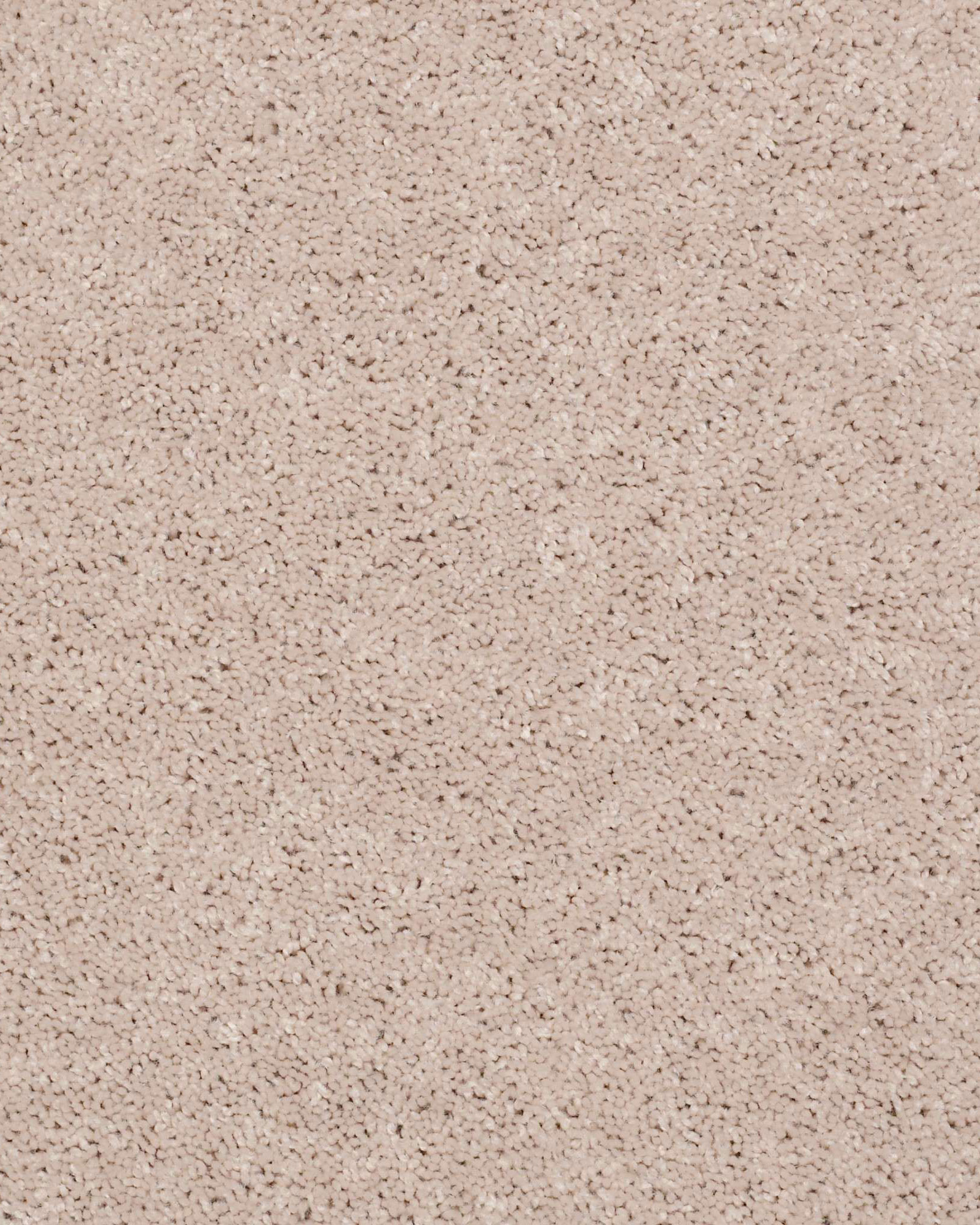 Shaw Full Court Butter Cream Carpet Exchange