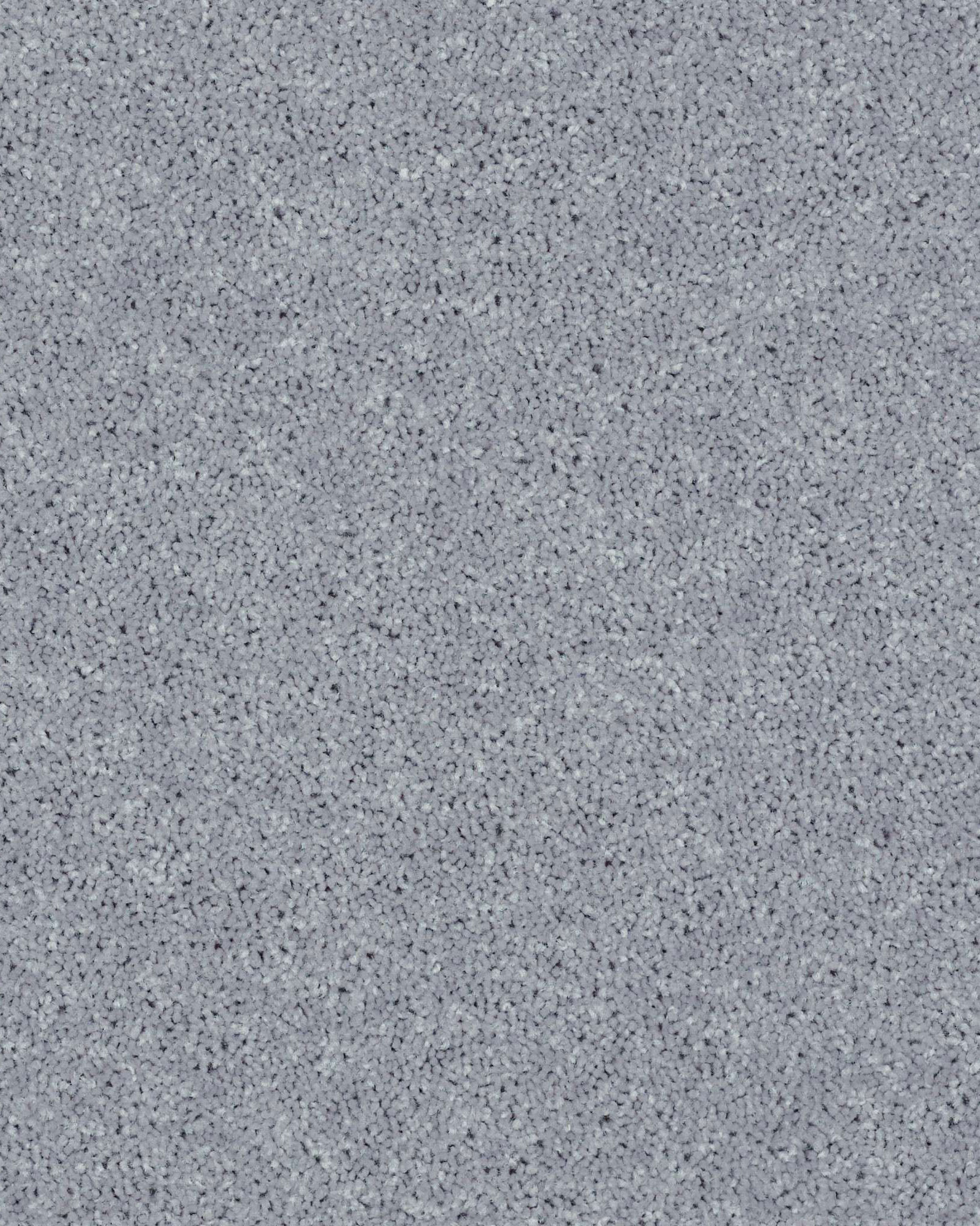 Shaw Full Court Dolphin Carpet Exchange