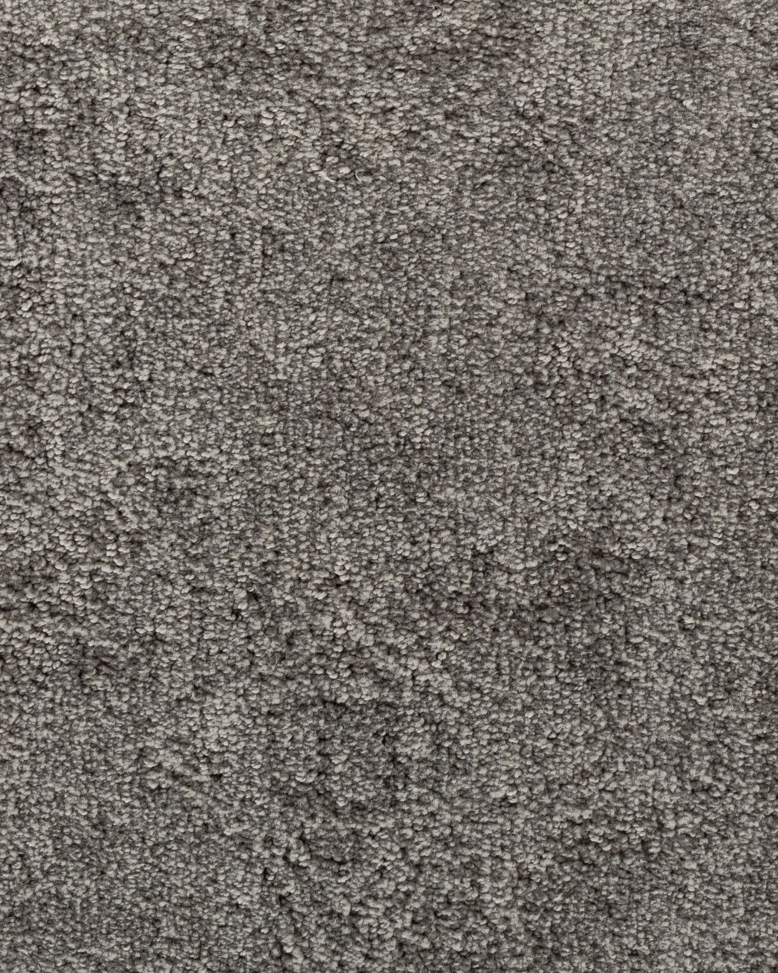 Karastan Graceful Balance Caspian Grey Carpet Exchange