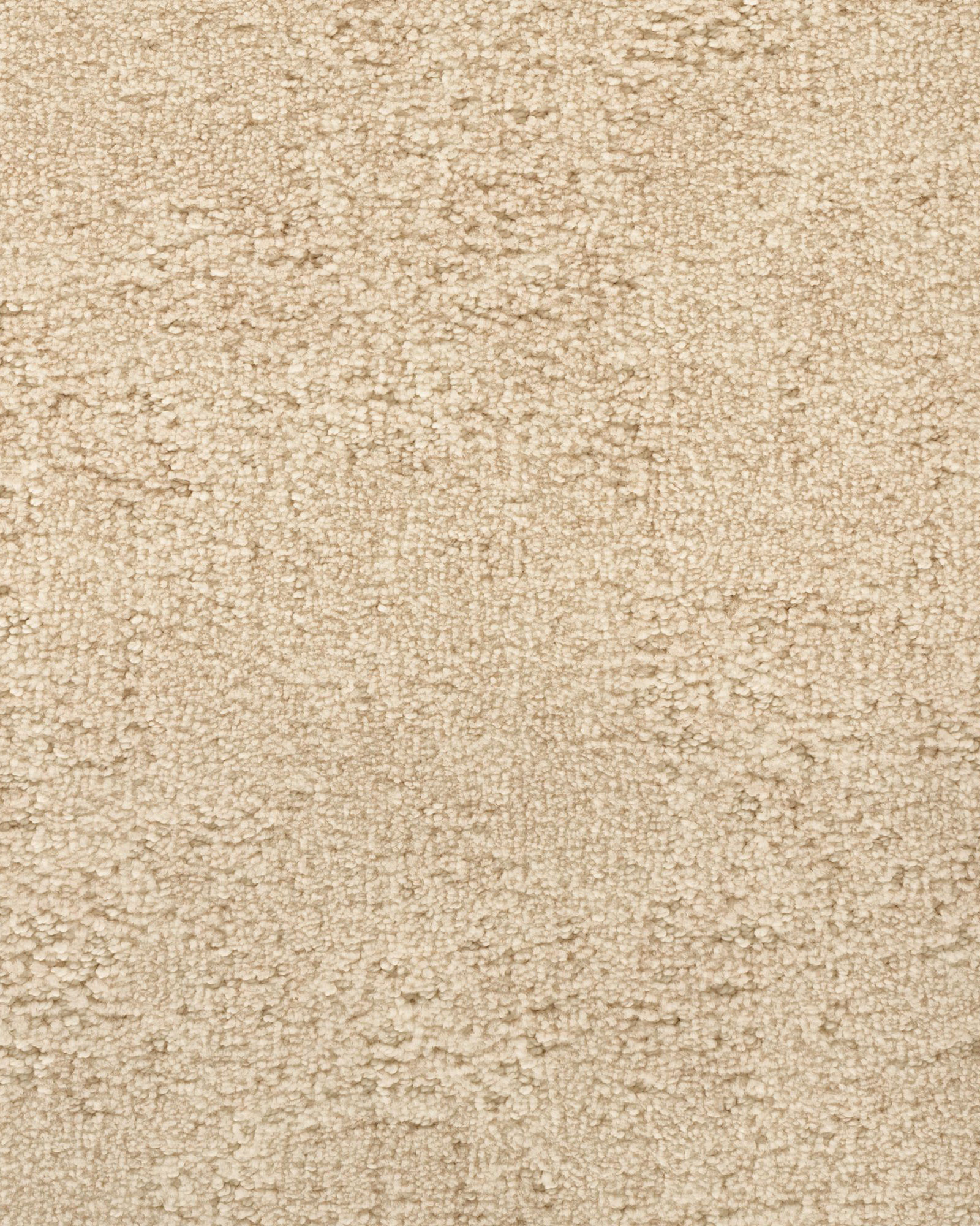 Karastan Graceful Balance Ivory Cream Carpet Exchange