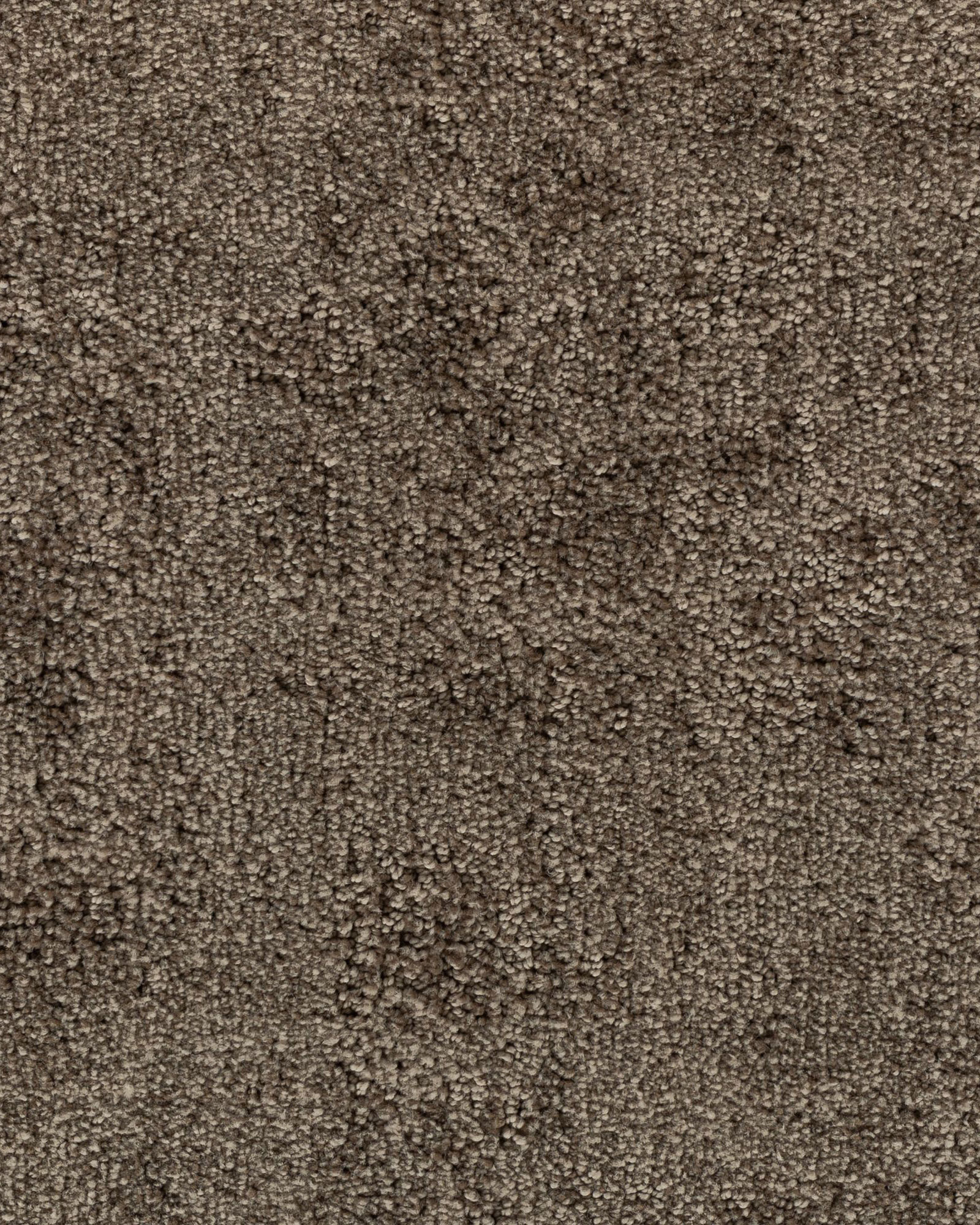 Karastan Graceful Balance Moonstone Carpet Exchange