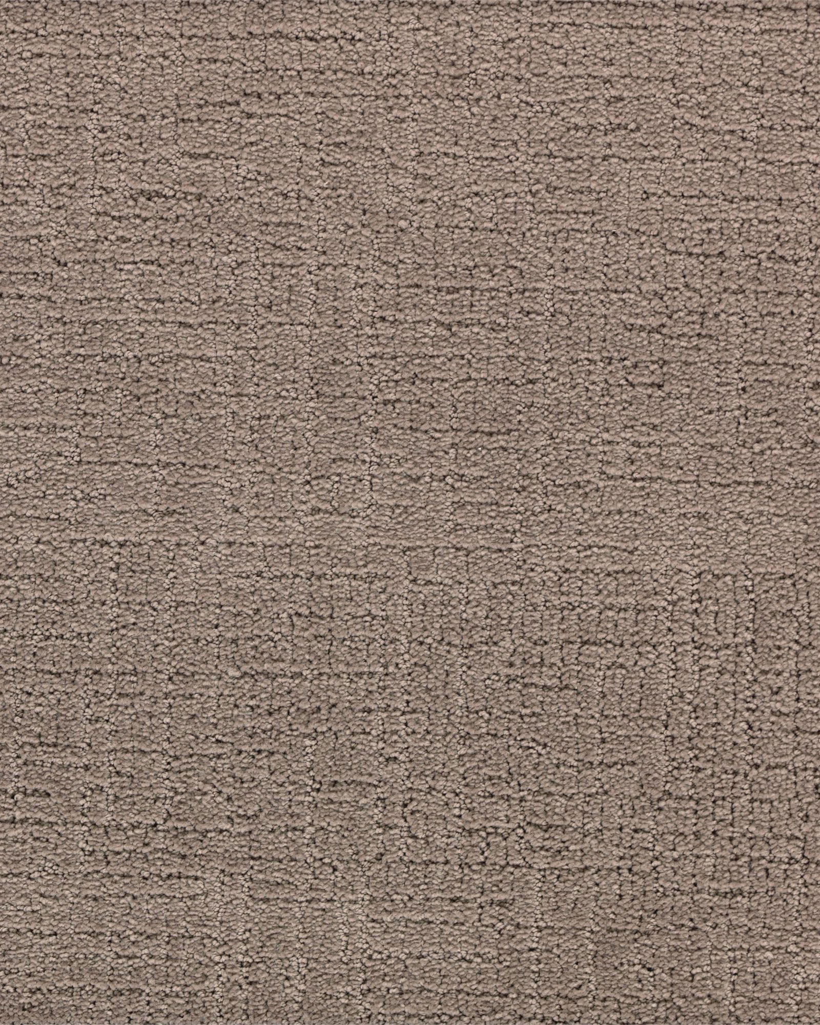 Karastan SmartStrand Grand Form Eaglet Carpet Exchange