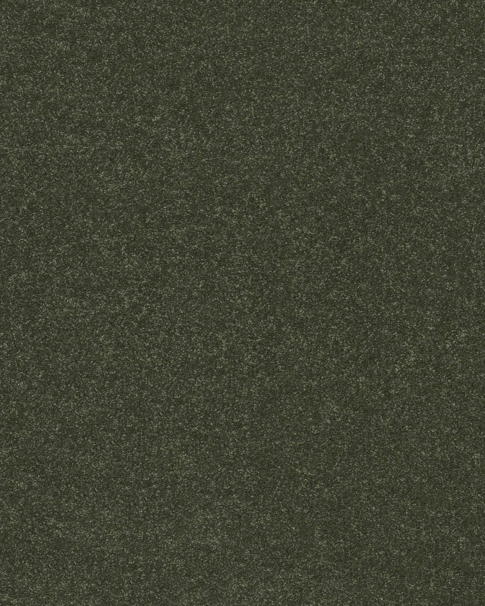 Shaw Hard At Play II Rerooted Nature Carpet Exchange