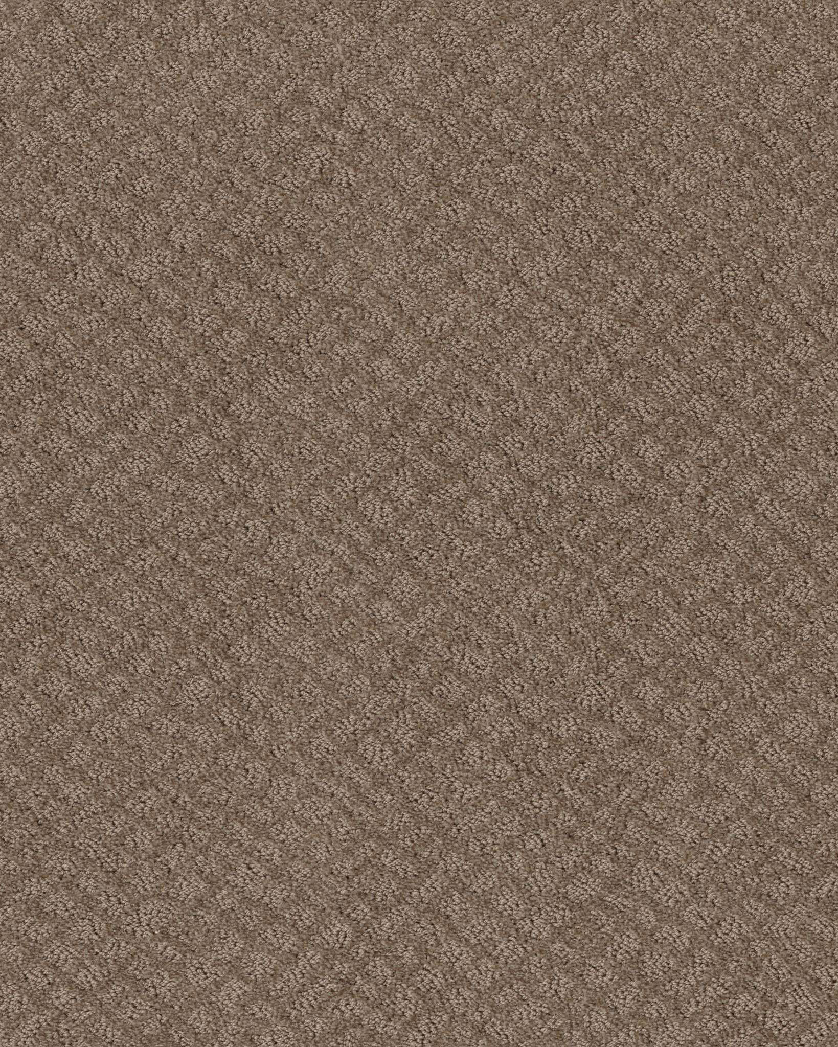 Shaw In Style Raw Wood Carpet Exchange