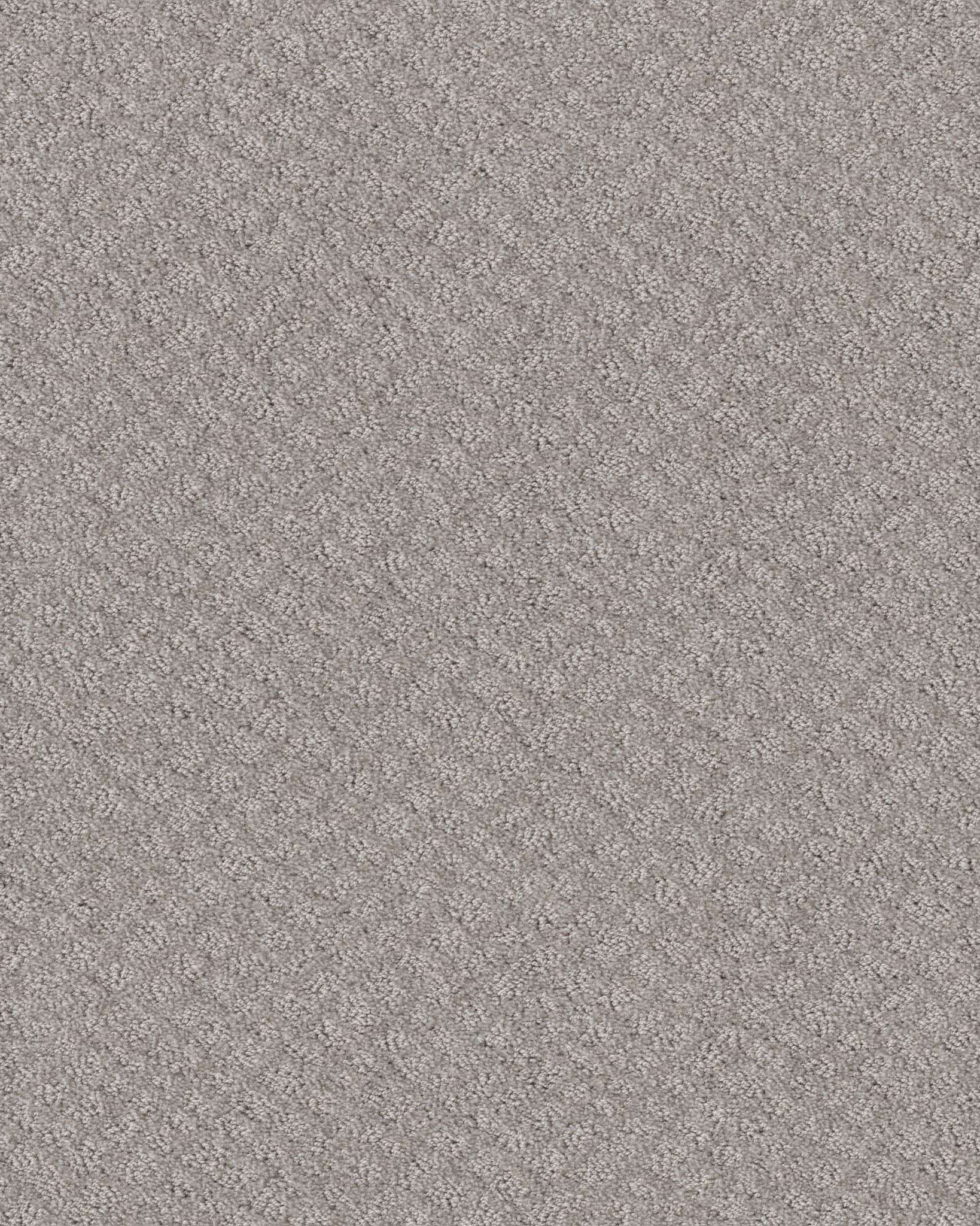 Shaw In Style Silver Lining Carpet Exchange