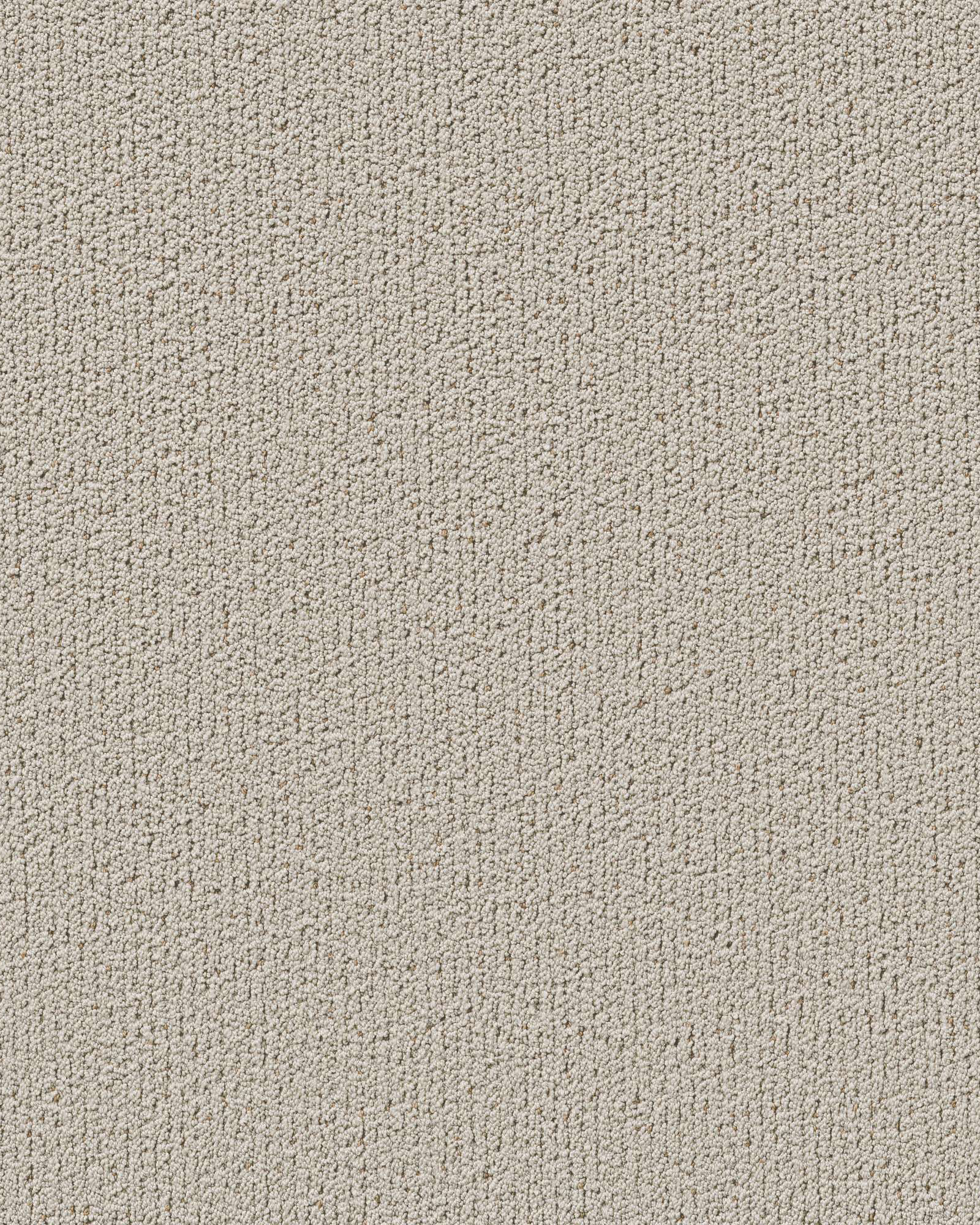 Shaw Pet Perfect Intricate Trace Natural Carpet Exchange