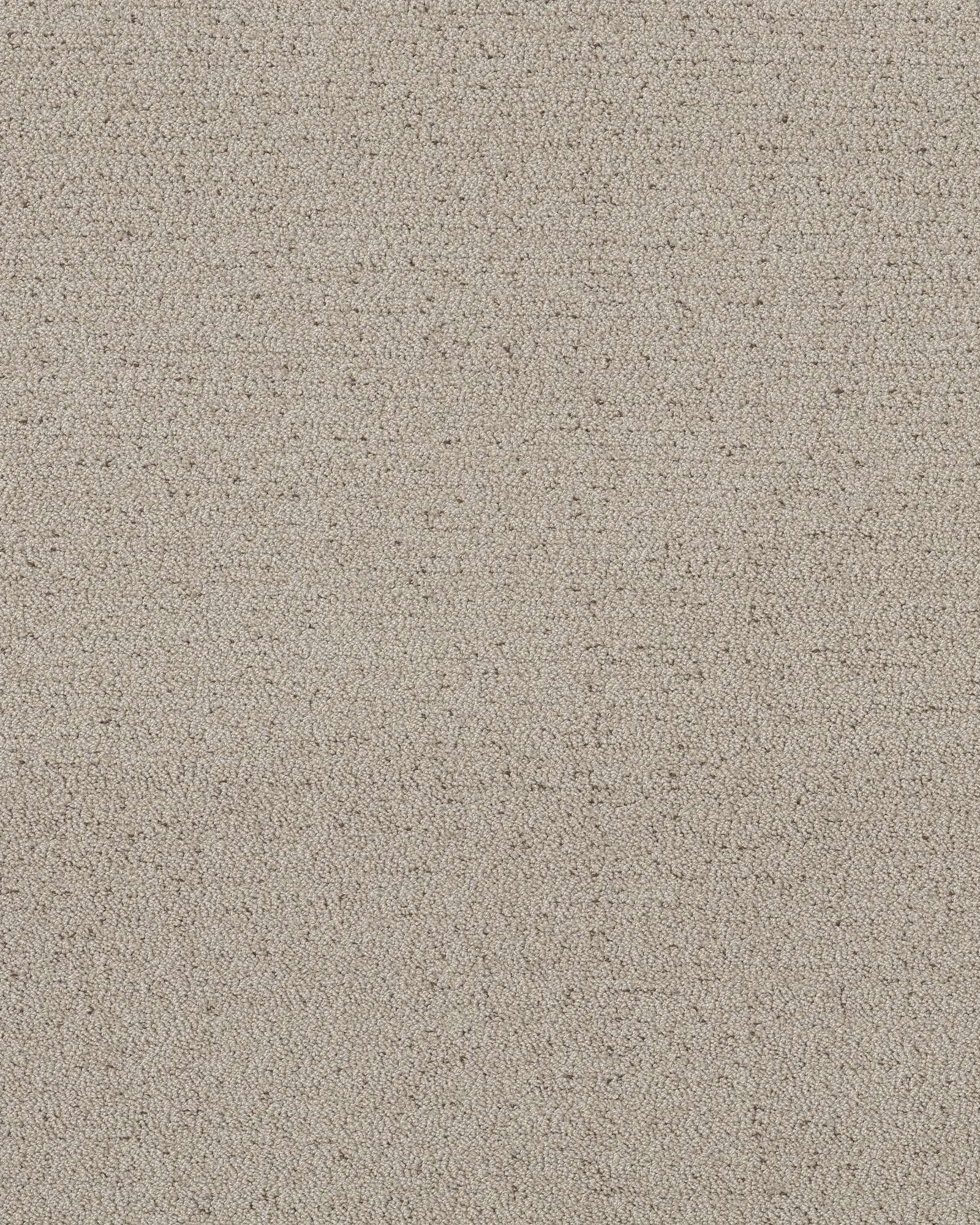 Shaw Intricate Trace River Birch Carpet Exchange
