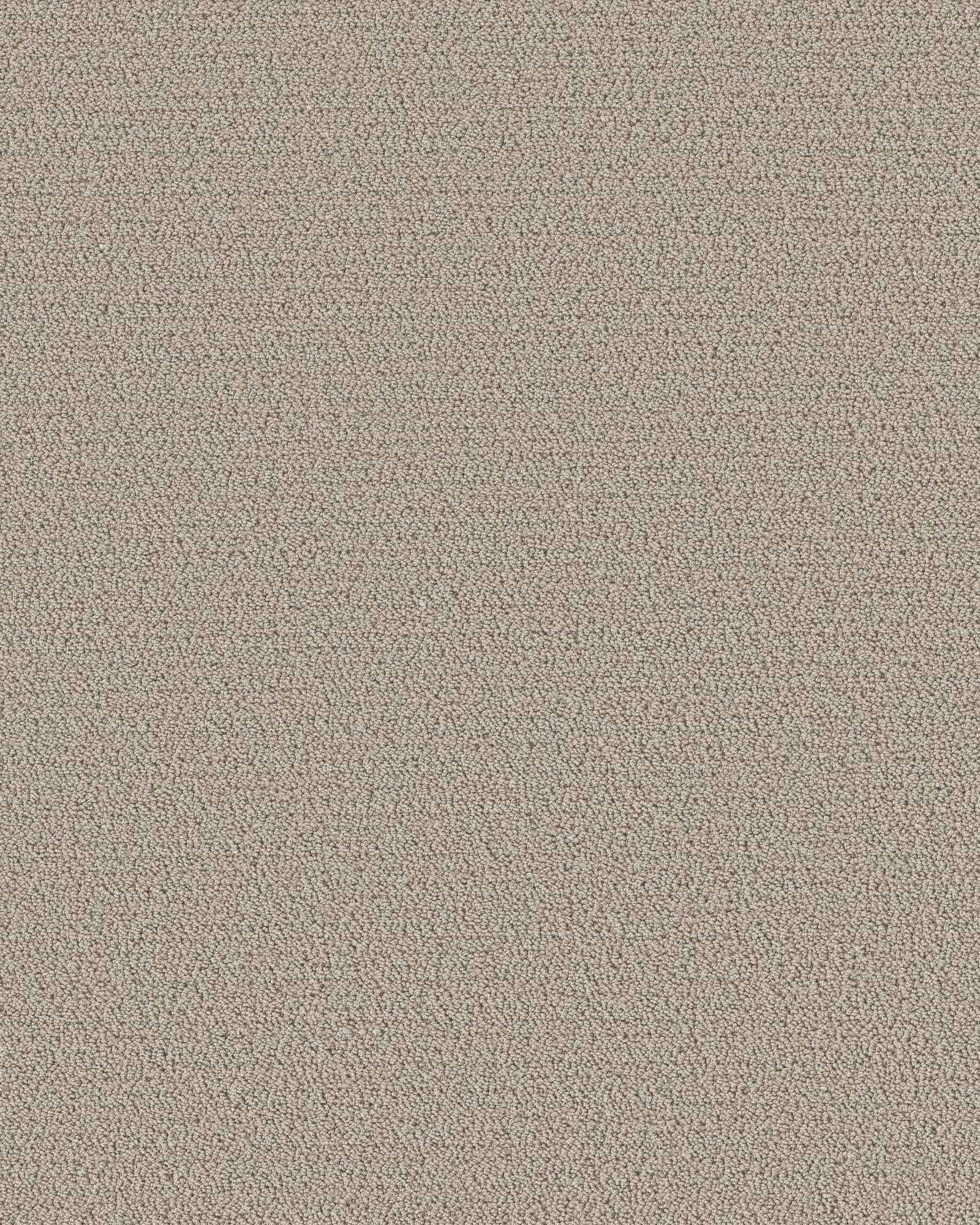 Shaw Intricate Trace Sculpture Carpet Exchange