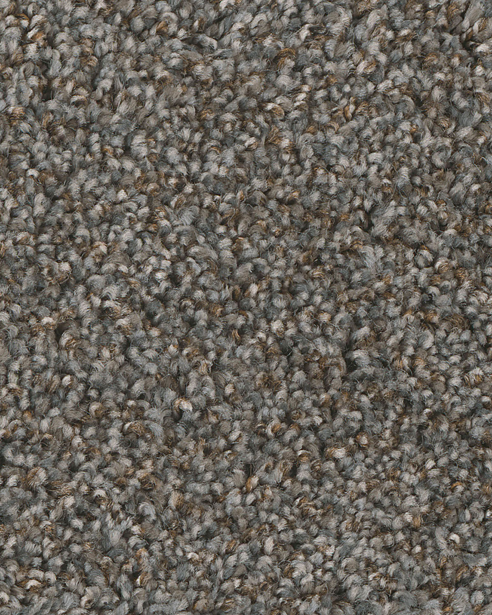 Dream Weaver 7543 Jackson Hole I Carpet Exchange