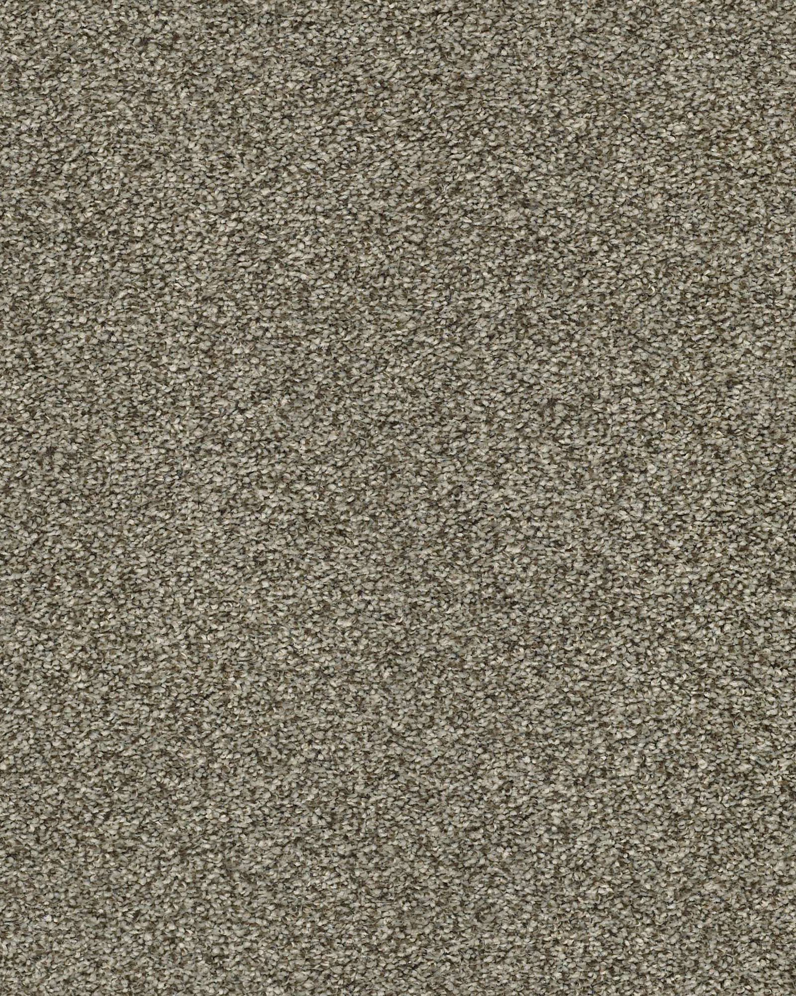 Shaw Bellera Just A Hint I Dreamy Taupe Carpet Exchange