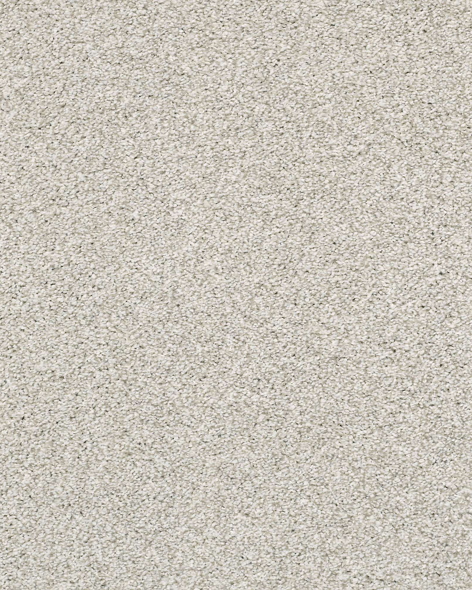 Shaw E9641 Just A Hint II Creamery Carpet Exchange