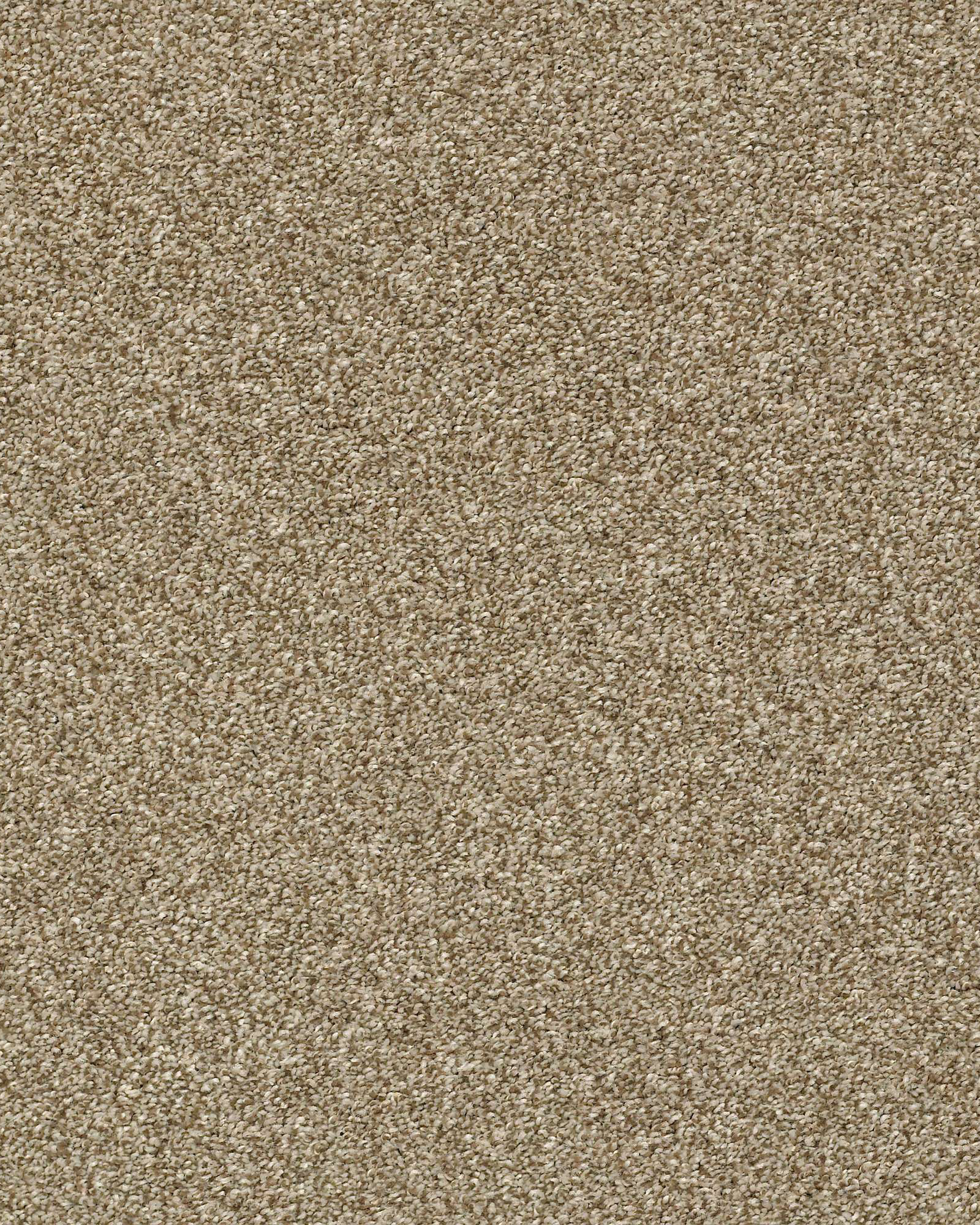 Shaw E9641 Just A Hint II Gold Rush Carpet Exchange