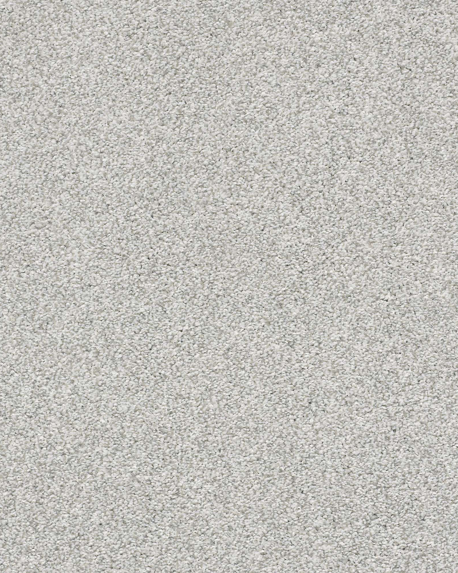 Shaw E9641 Just A Hint II Mist Carpet Exchange