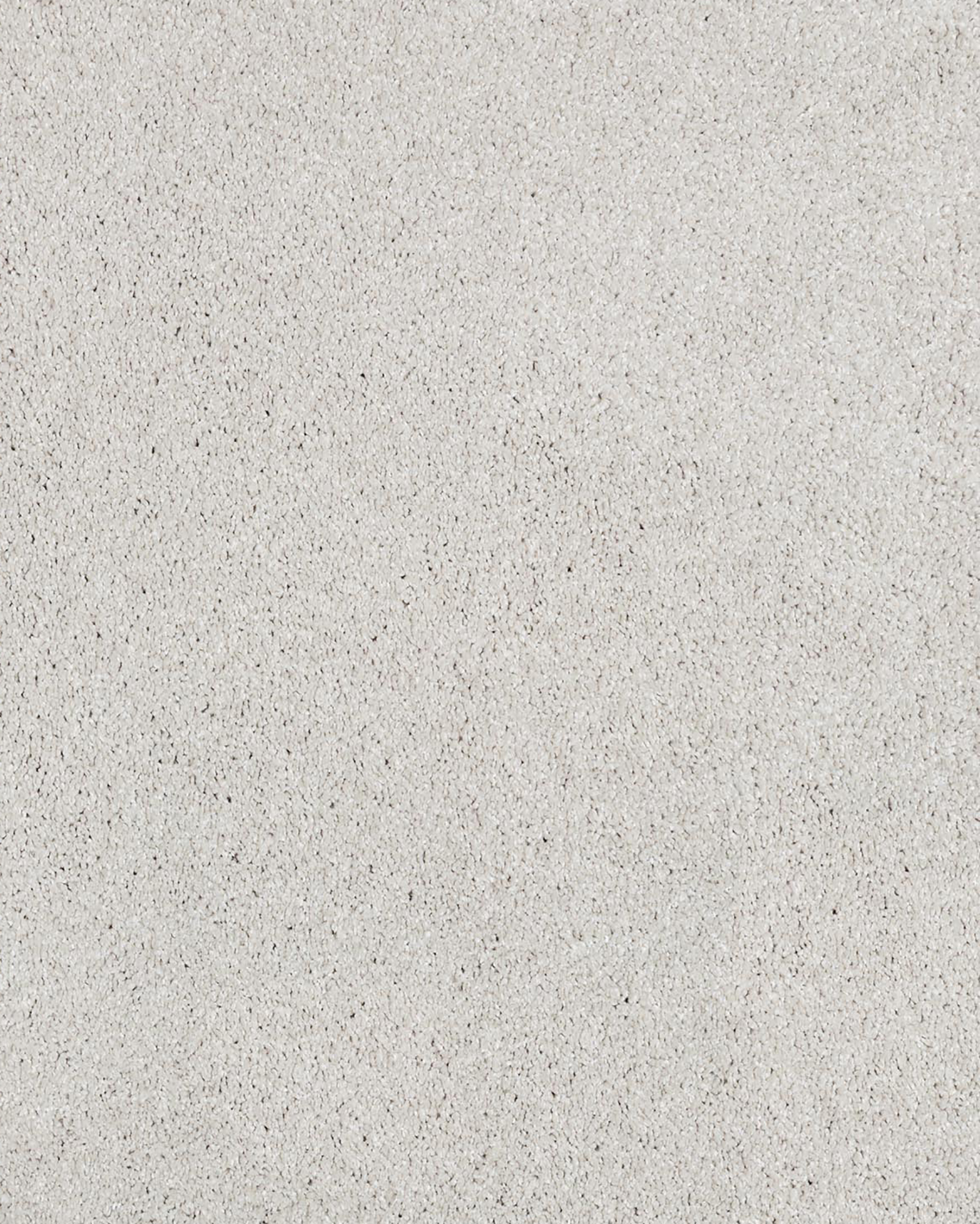 Karastan K8969 Lavish Attraction Palisade Carpet Exchange