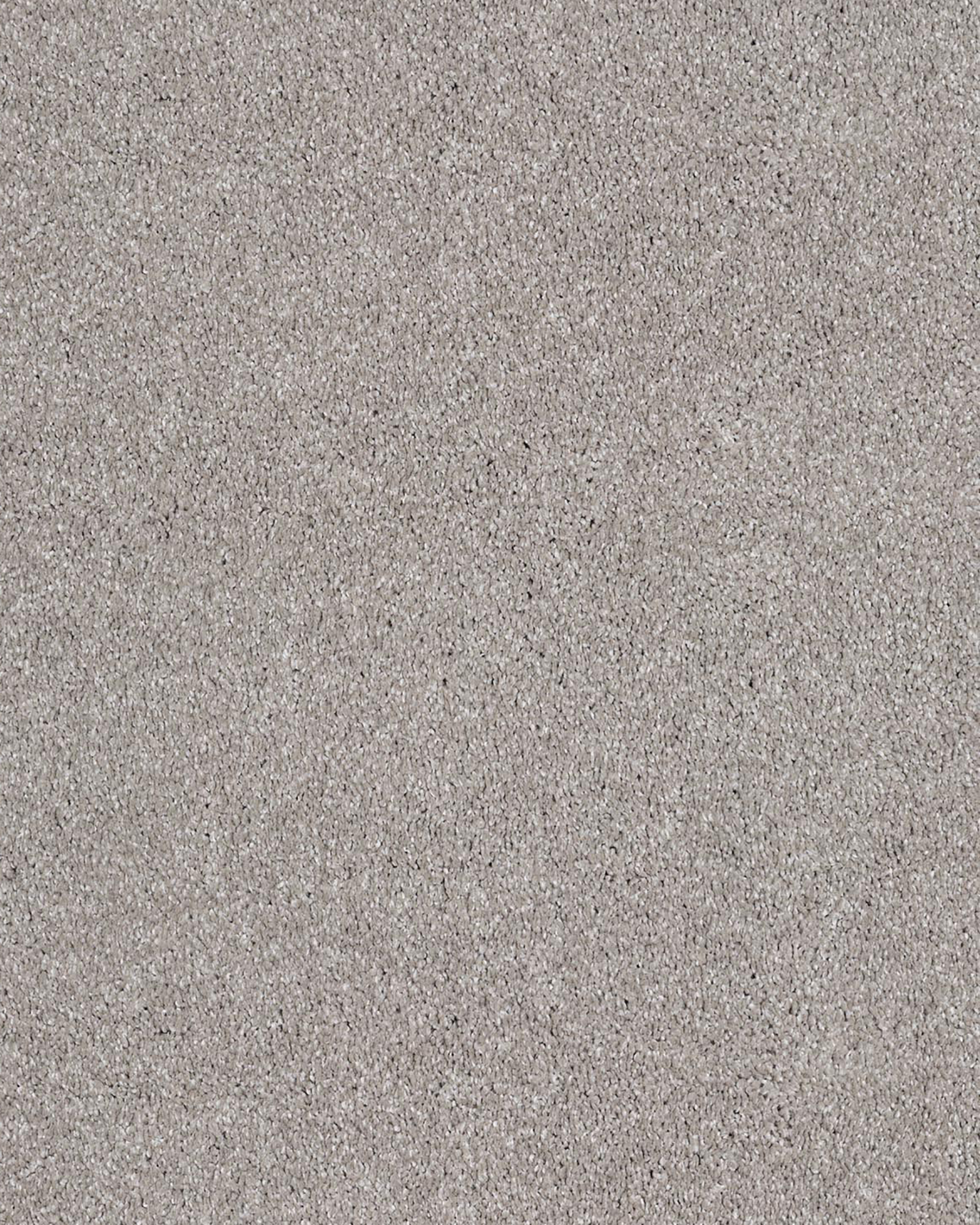 Karastan Lavish Attraction Soft Smoke Carpet Exchange