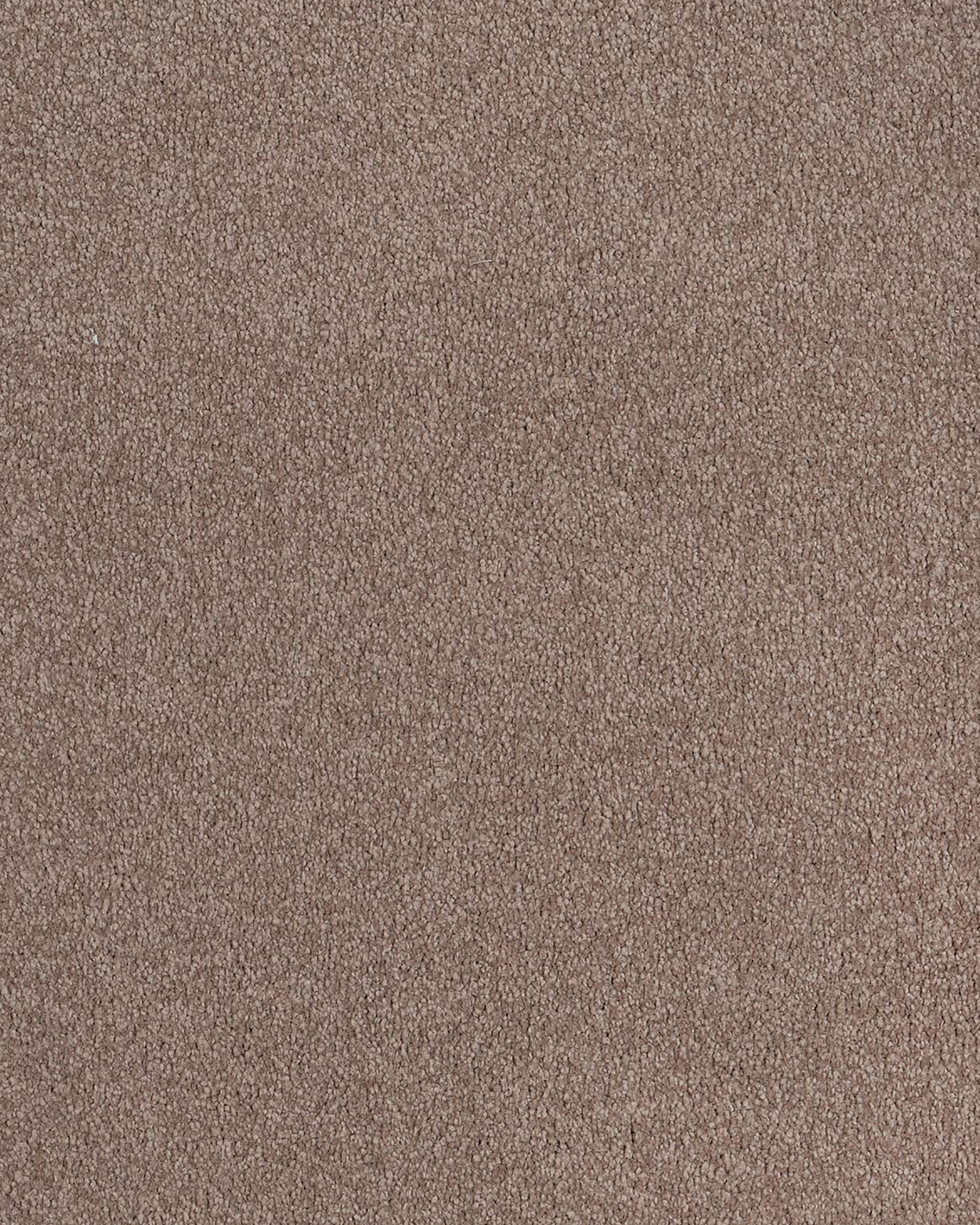 Karastan Island Mood Fieldstone | Carpet Exchange