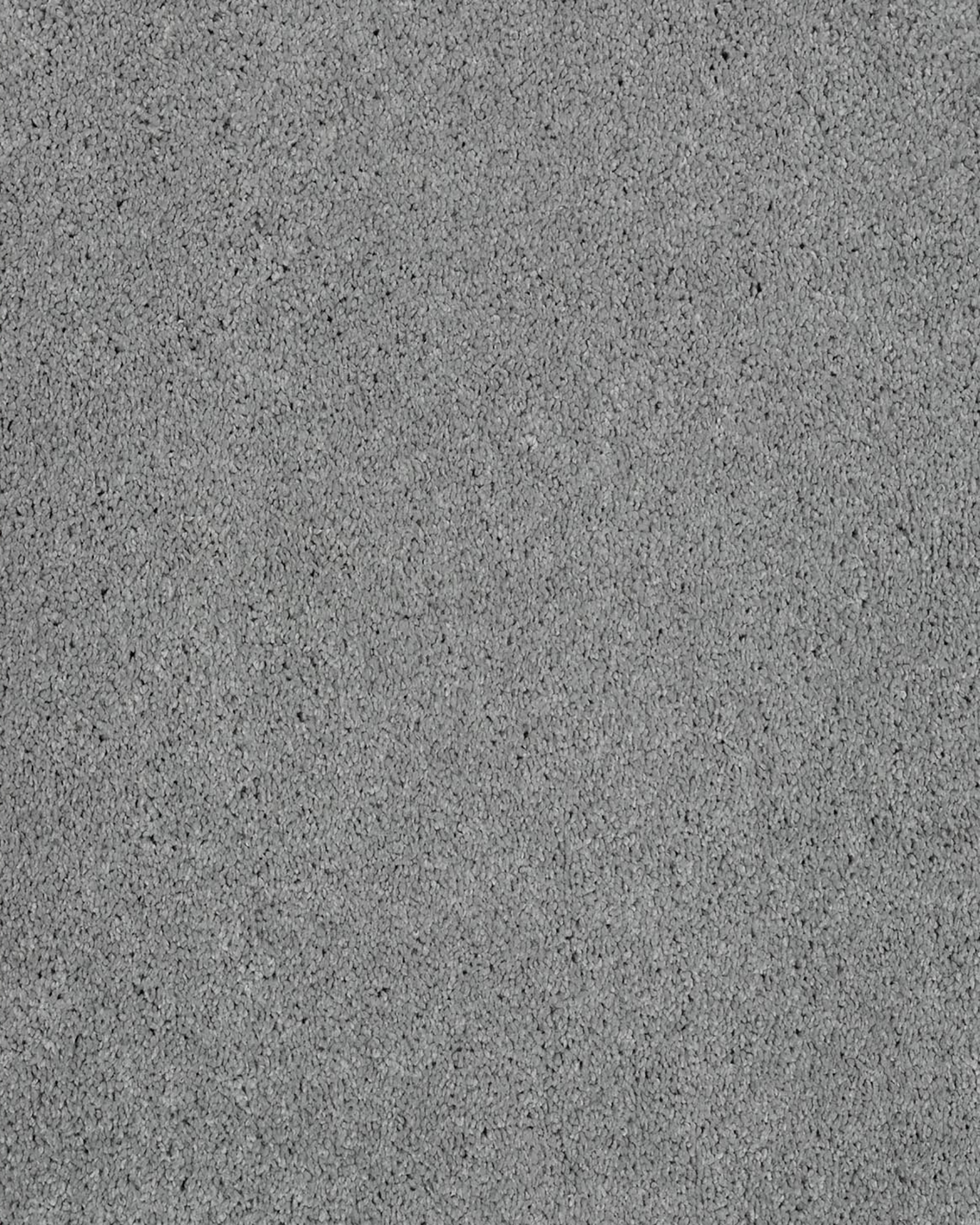 Karastan Impressive Character Meandering Carpet Exchange