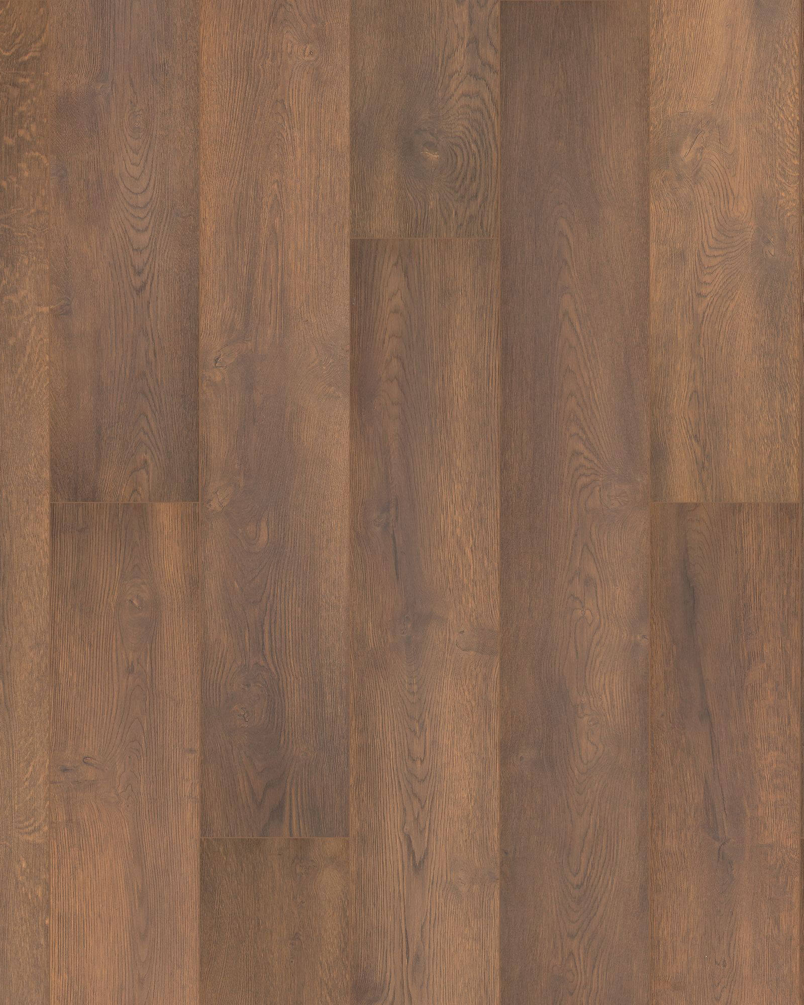 Chateau Leon Warm Cognac Oak - Laminate | Carpet Exchange