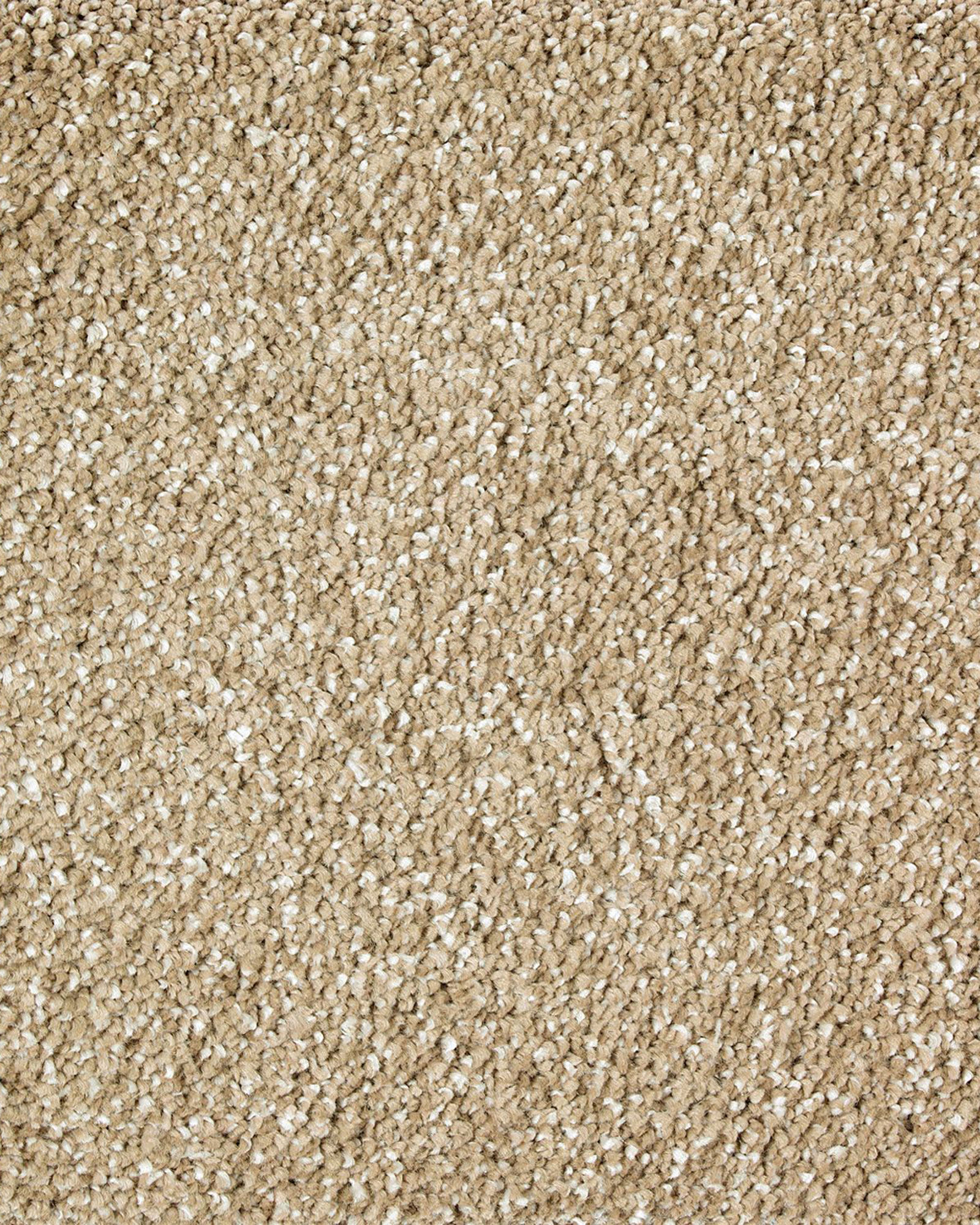 Mohawk 2S26 Lavish Luxury | Carpet Exchange 