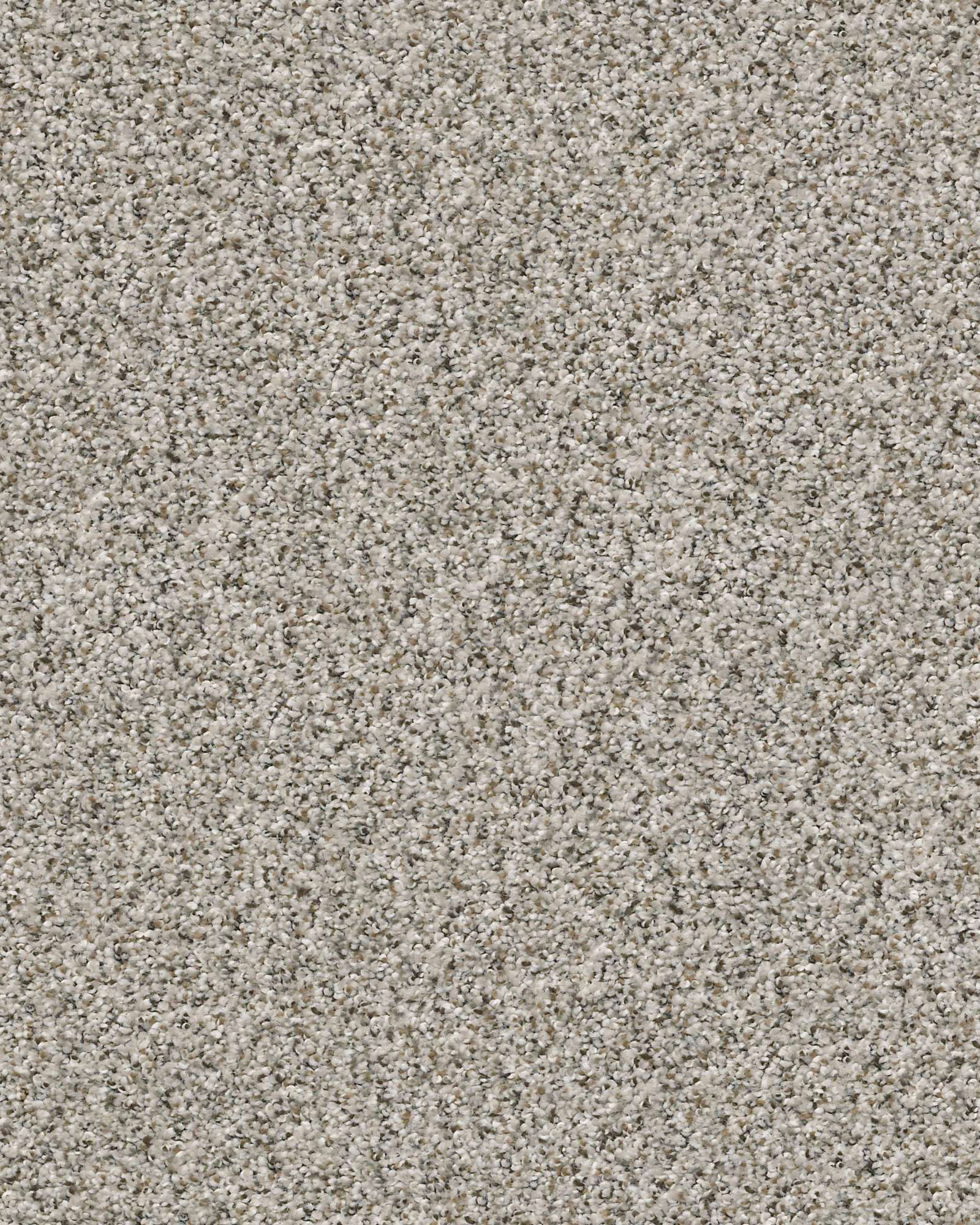 Shaw e9716 make it work stormy carpet exchange