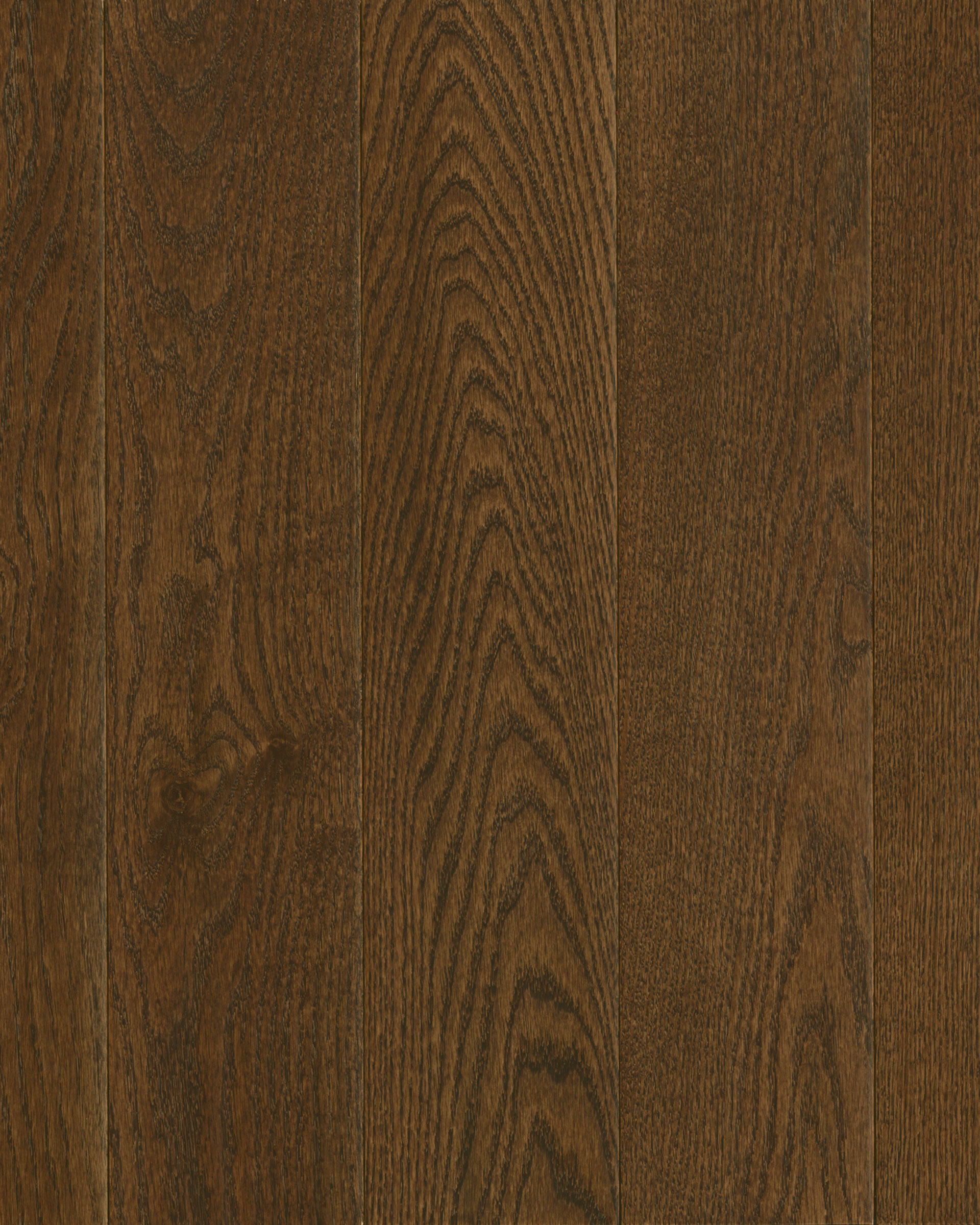 nfsk392s_nfsk592s_tudorbrown_s