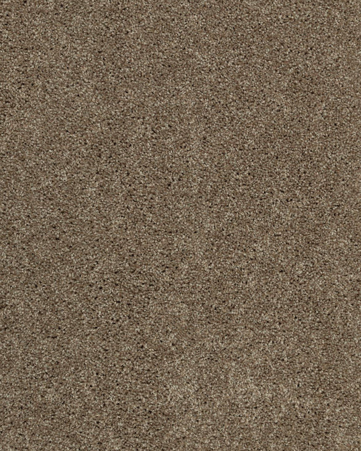 Mohawk Glamourous Charm II Carpet Exchange