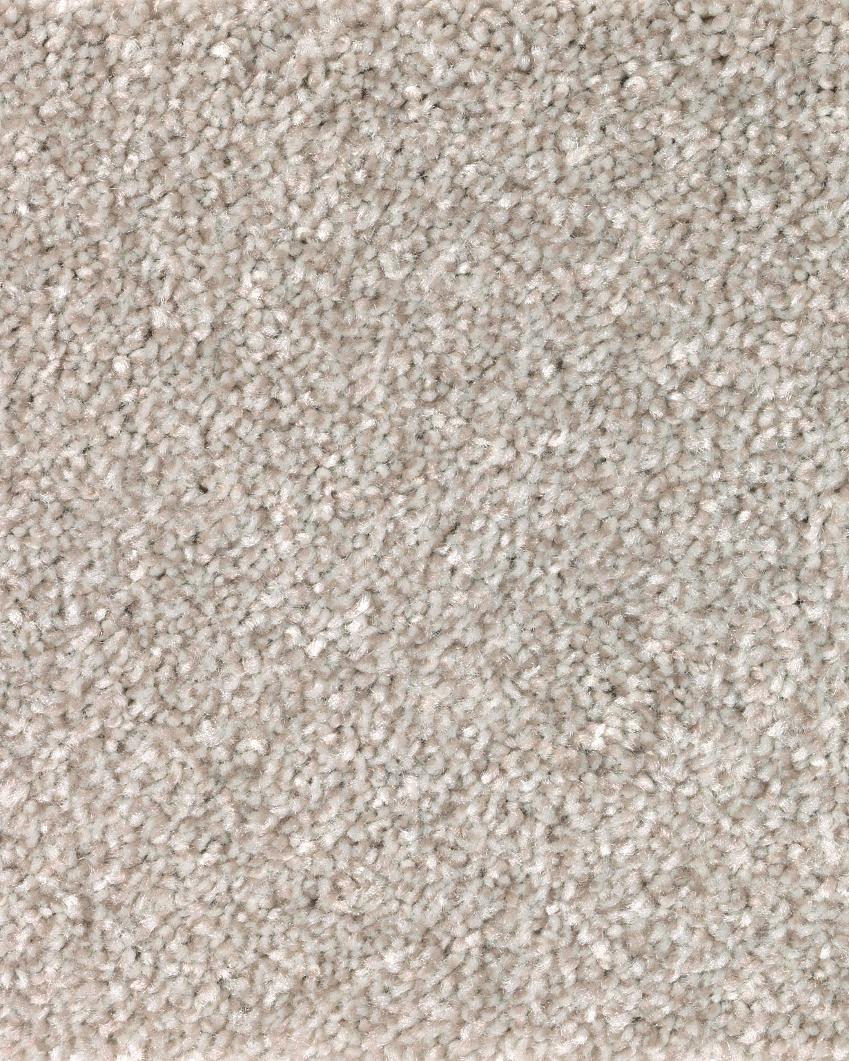 Karastan SmartStrand Roxborough Creek 815 Carpet Exchange