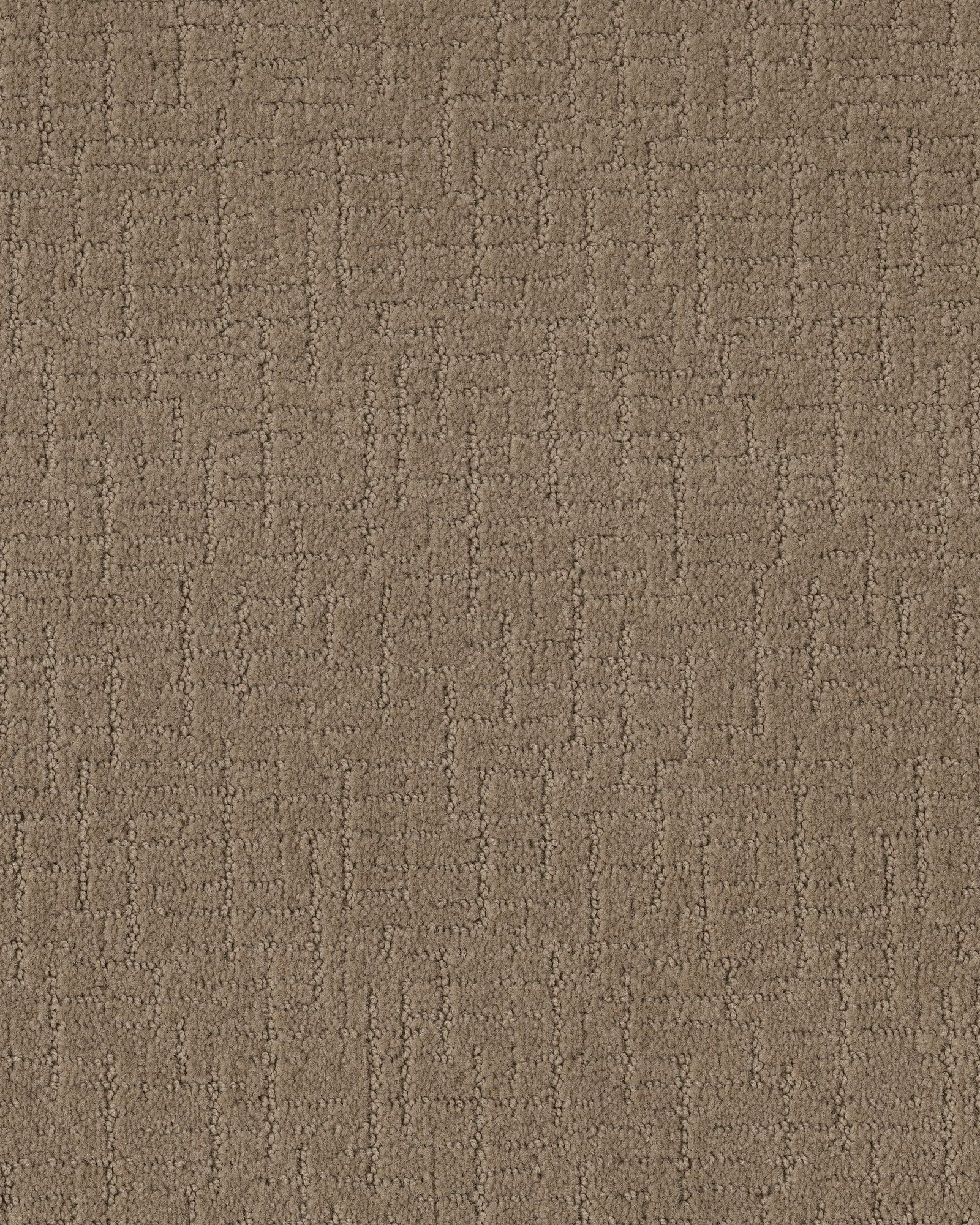 Anderson Tuftex One More Hour Stucco Tan Carpet Exchange
