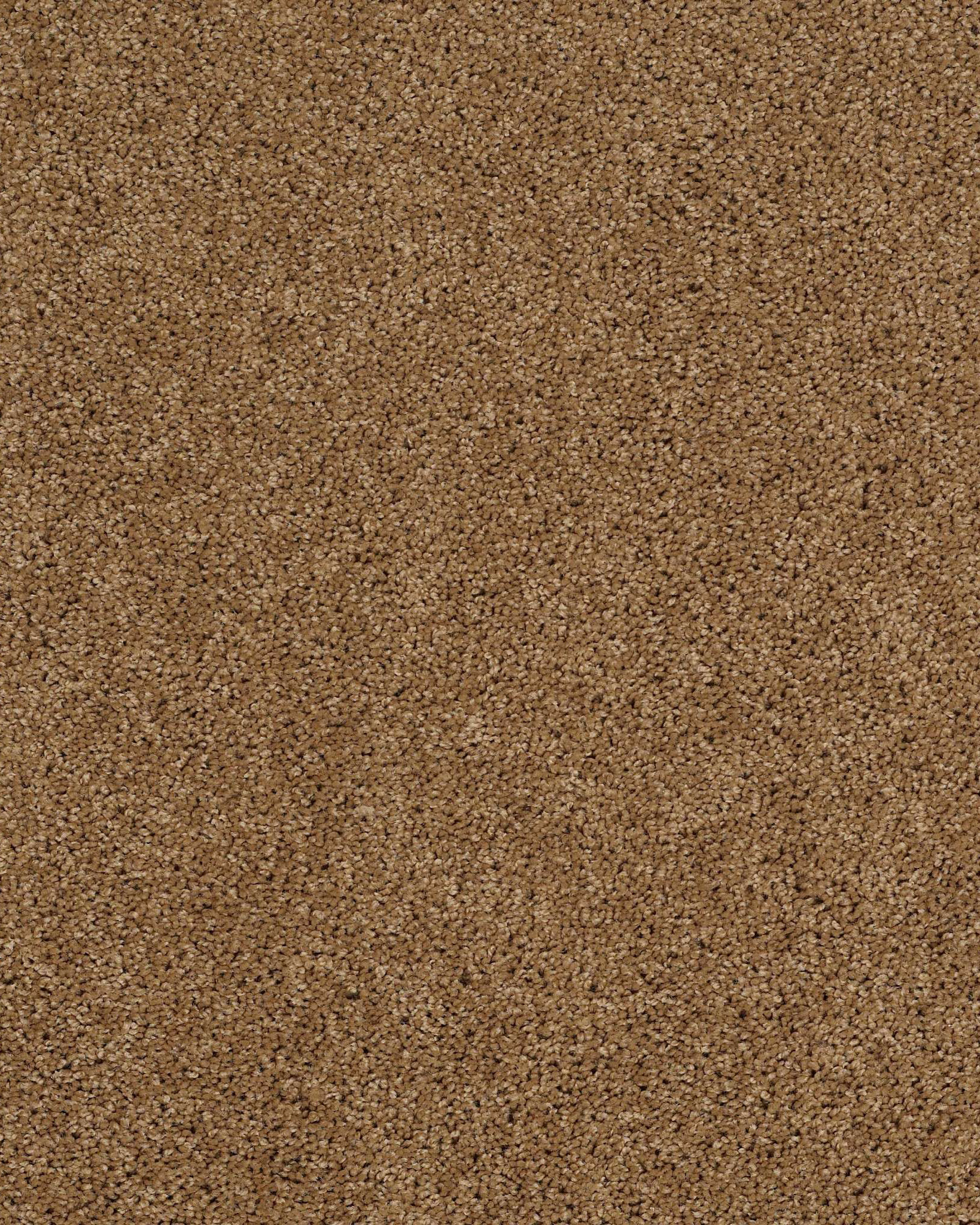 Shaw E9301 Origins II Leather Bound Carpet Exchange