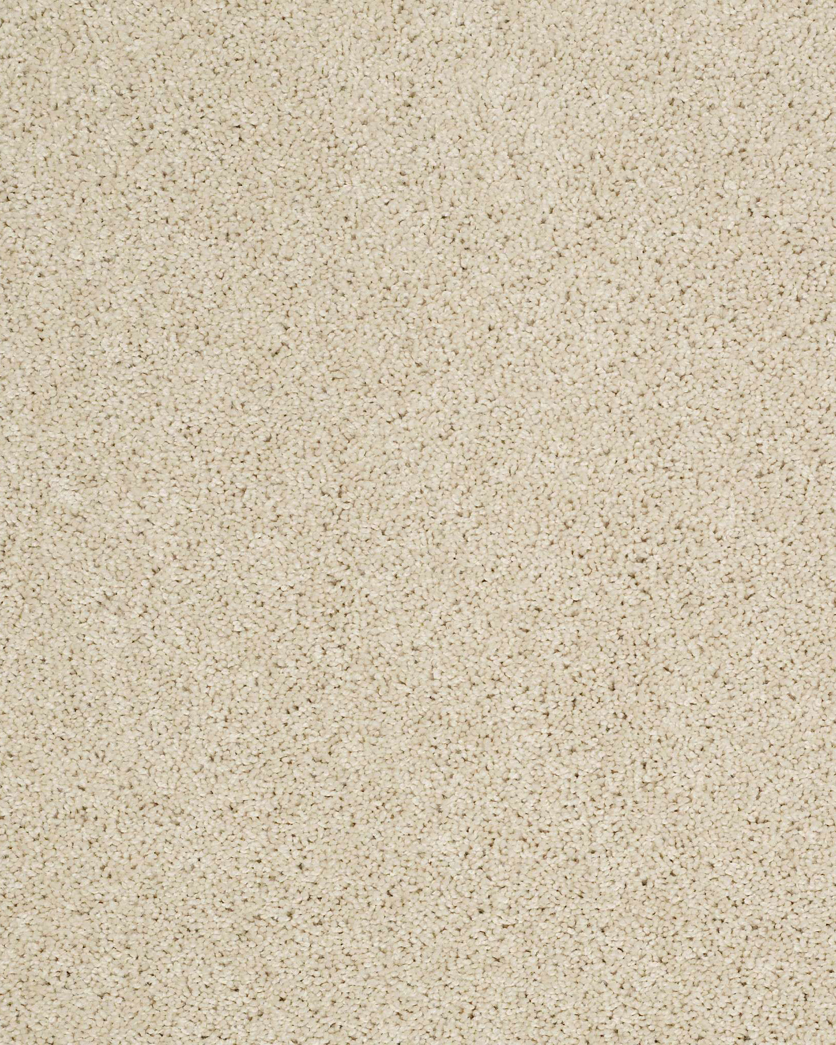 Shaw E9301 Origins II Linen Carpet Exchange