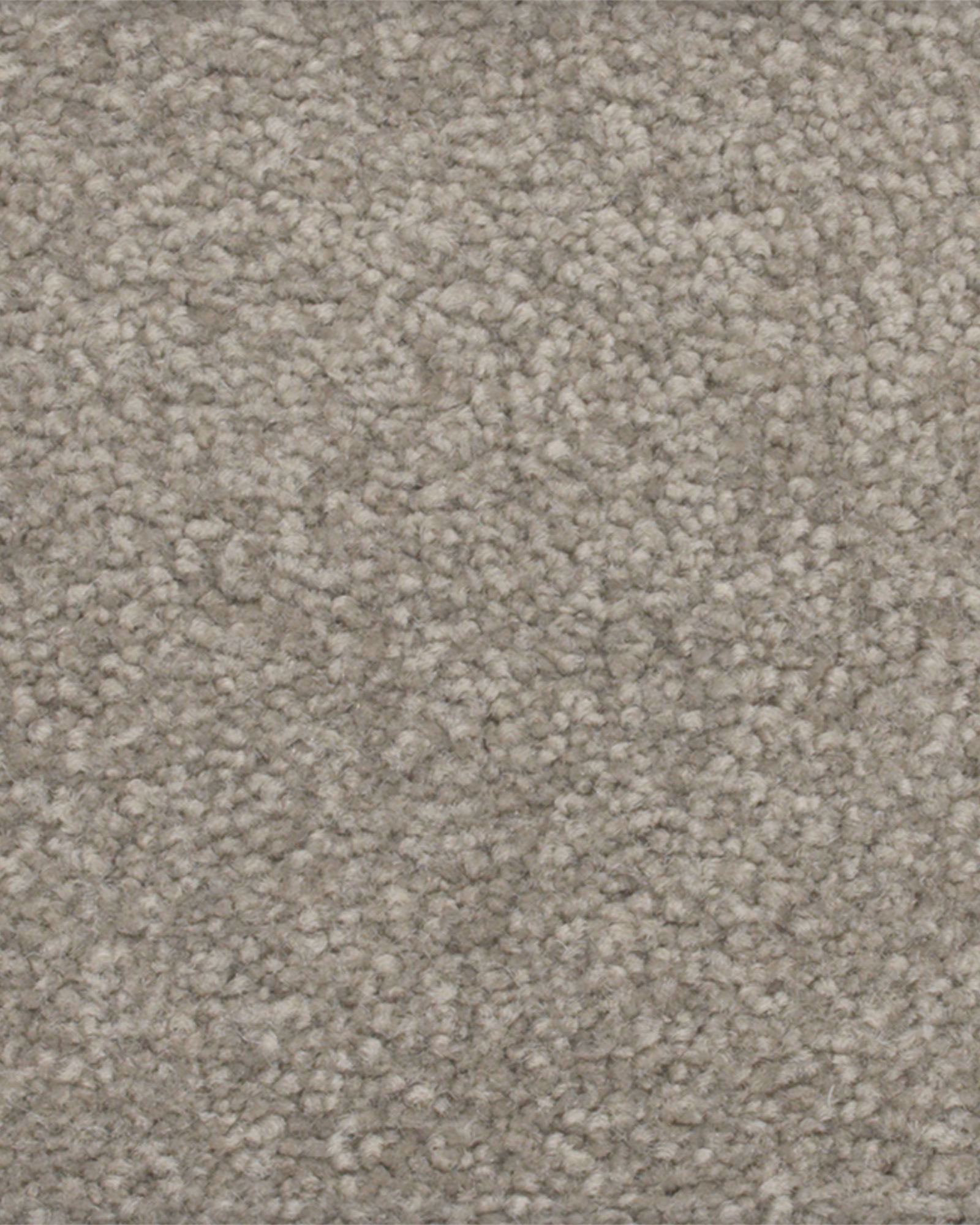 Karastan Perfect Peace Contempo Carpet Exchange