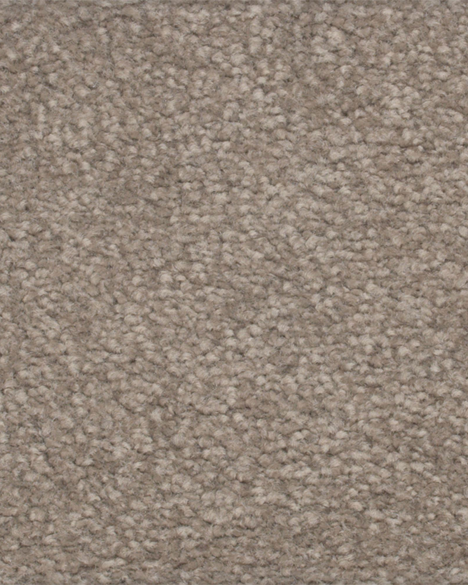 Karastan Kashmere Perfect Peace Contessa Carpet Exchange