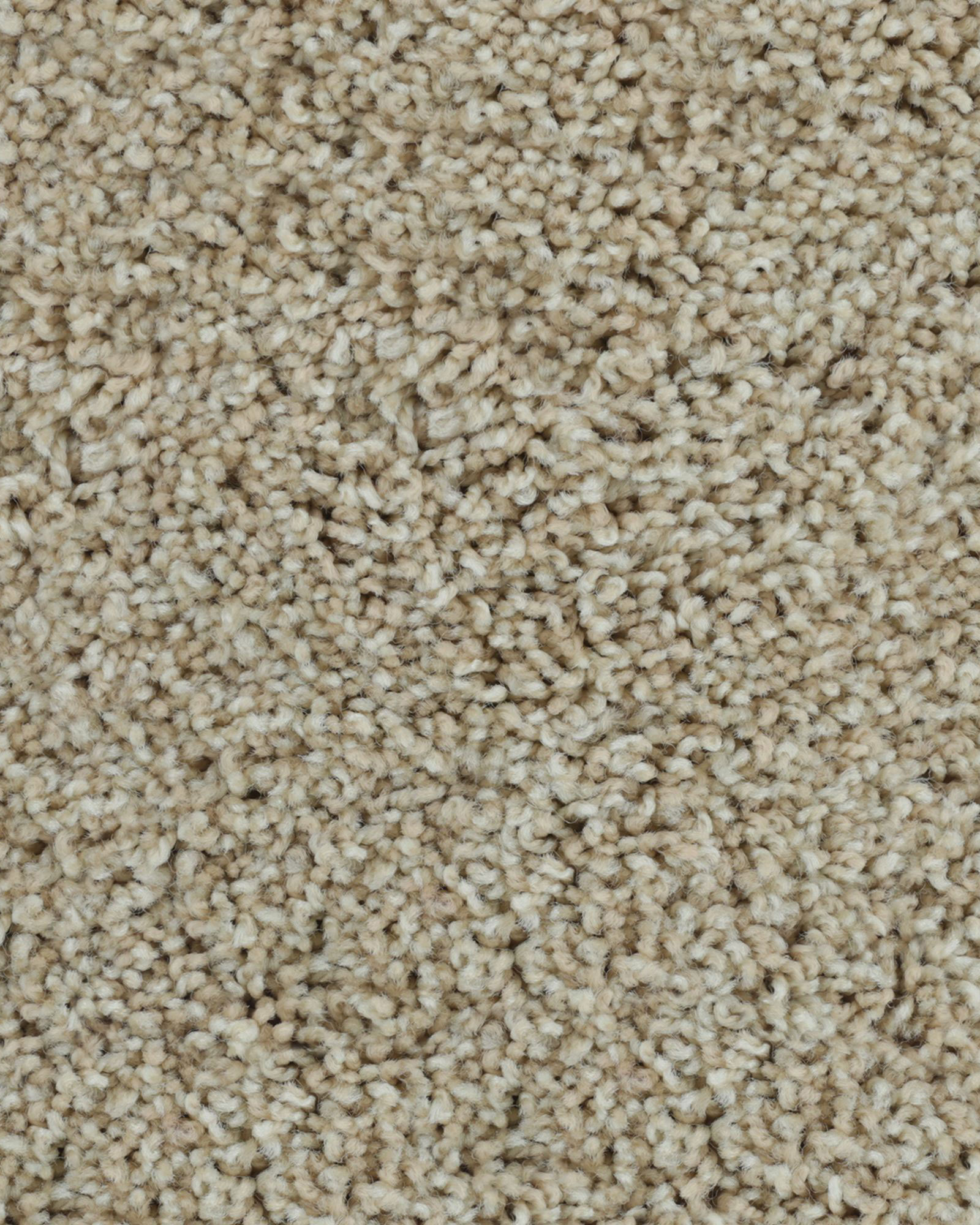 Karastan K8933 Posh Beauty Bashful Carpet Exchange